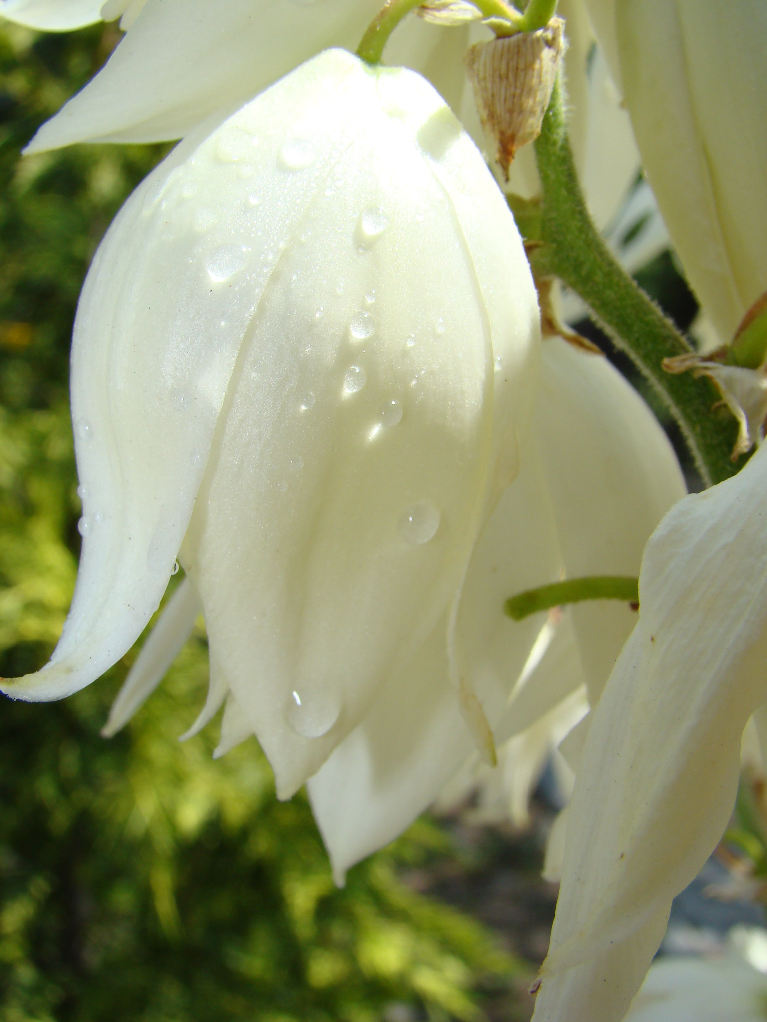 Кабардинка (фото Зевиных) 25.06-24.07.2008. Семейный, Свадебный фотограф СПБ Питер— Романова Екатерина