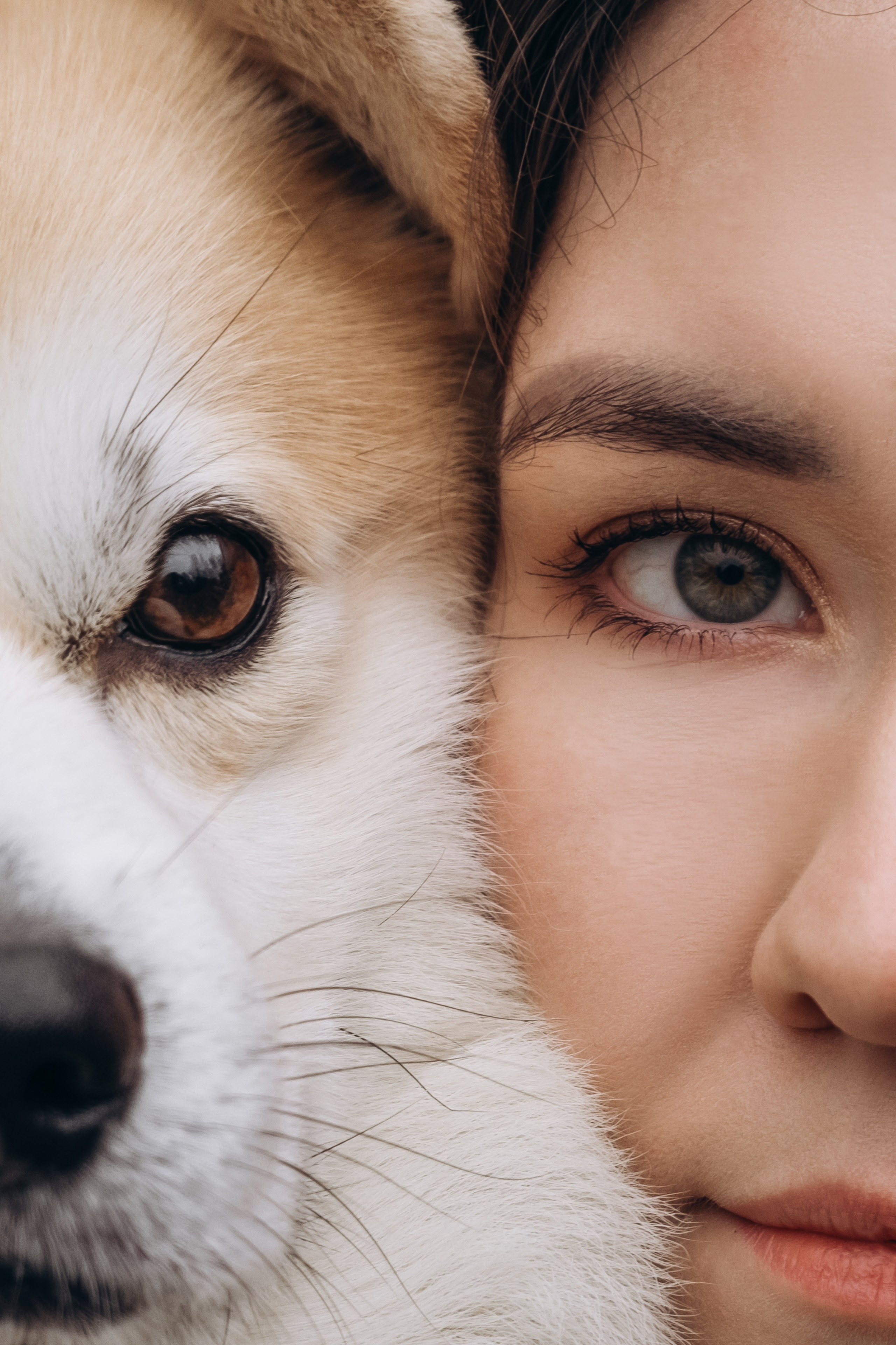 Animalism. Nataresso | фотограф Москва