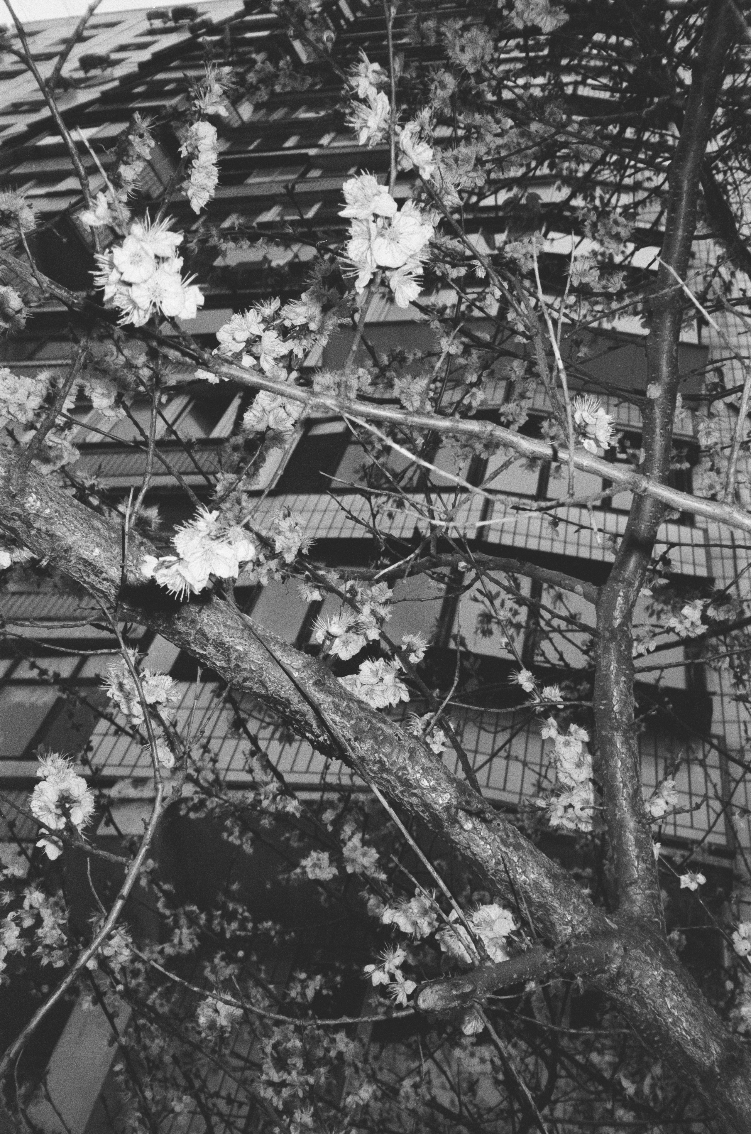 Разное. Церковный фотограф