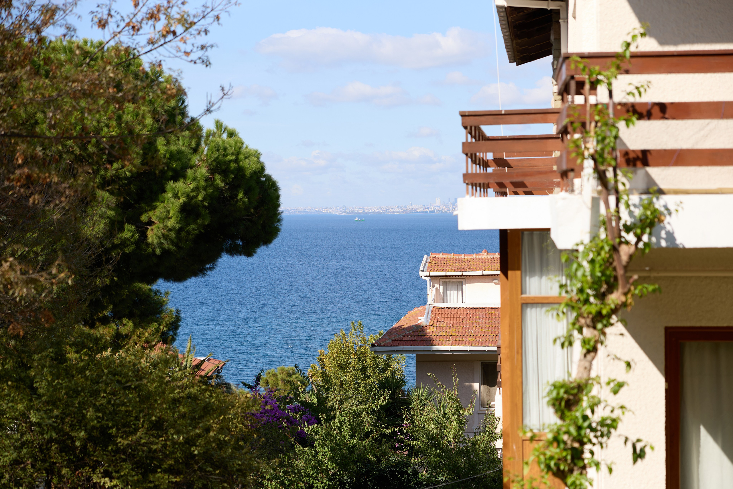 Стамбул 24. Фотограф Москва, Дима Пеллер