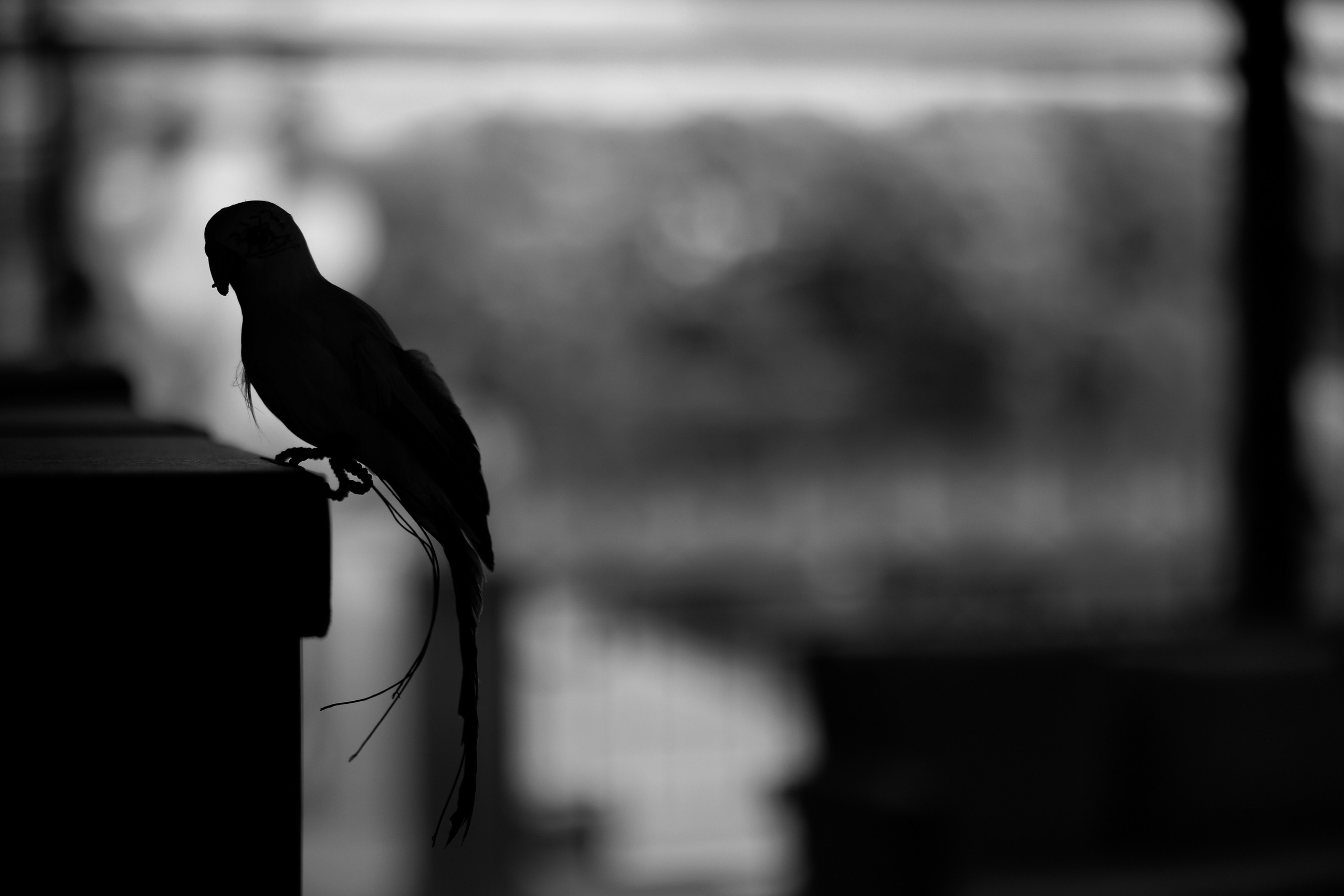 КОРПОРАТИВ DR.HUG. Свадебный и event-фотограф Иван Волнухин