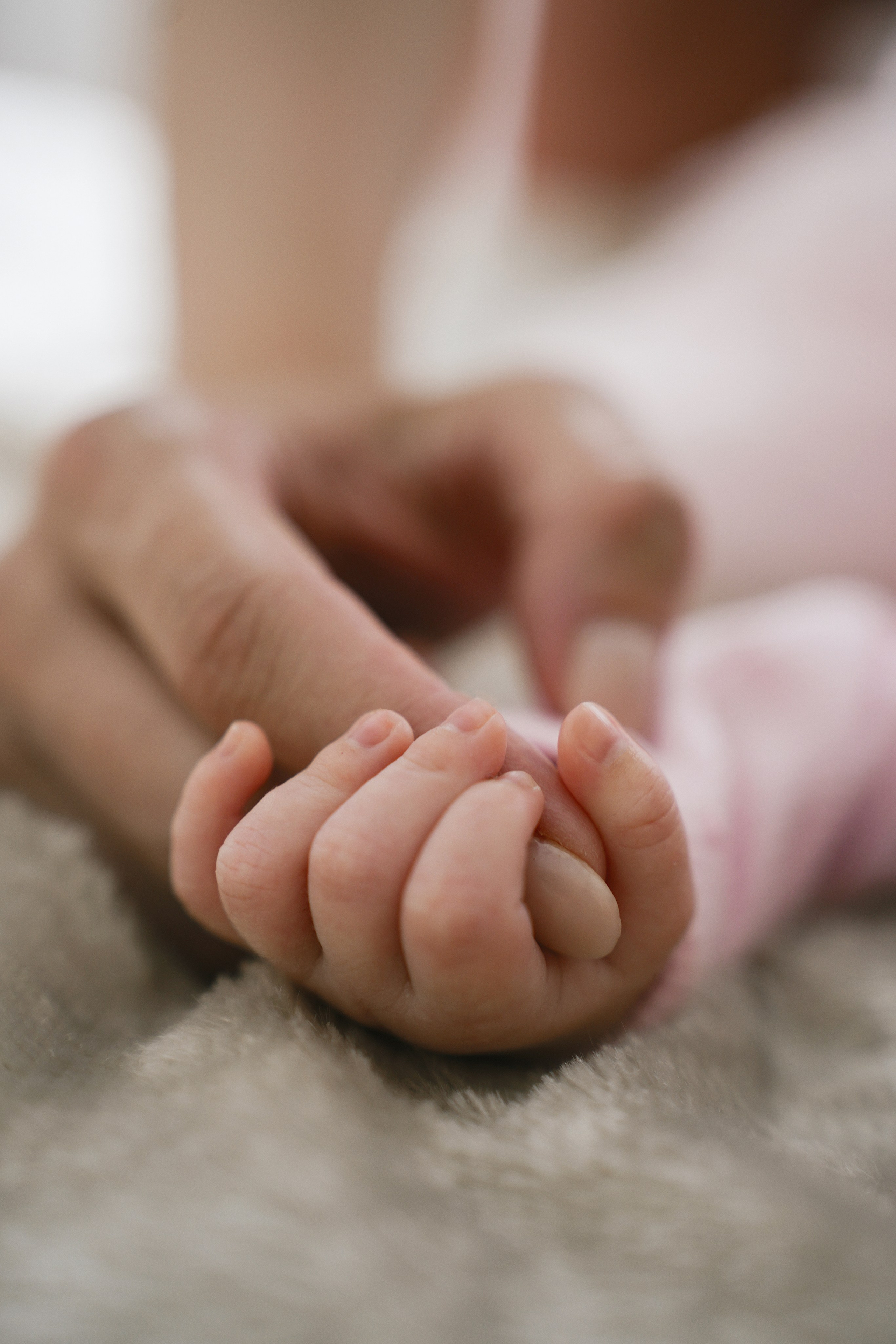 Маленькая Амелия и ее большая семья. Главная