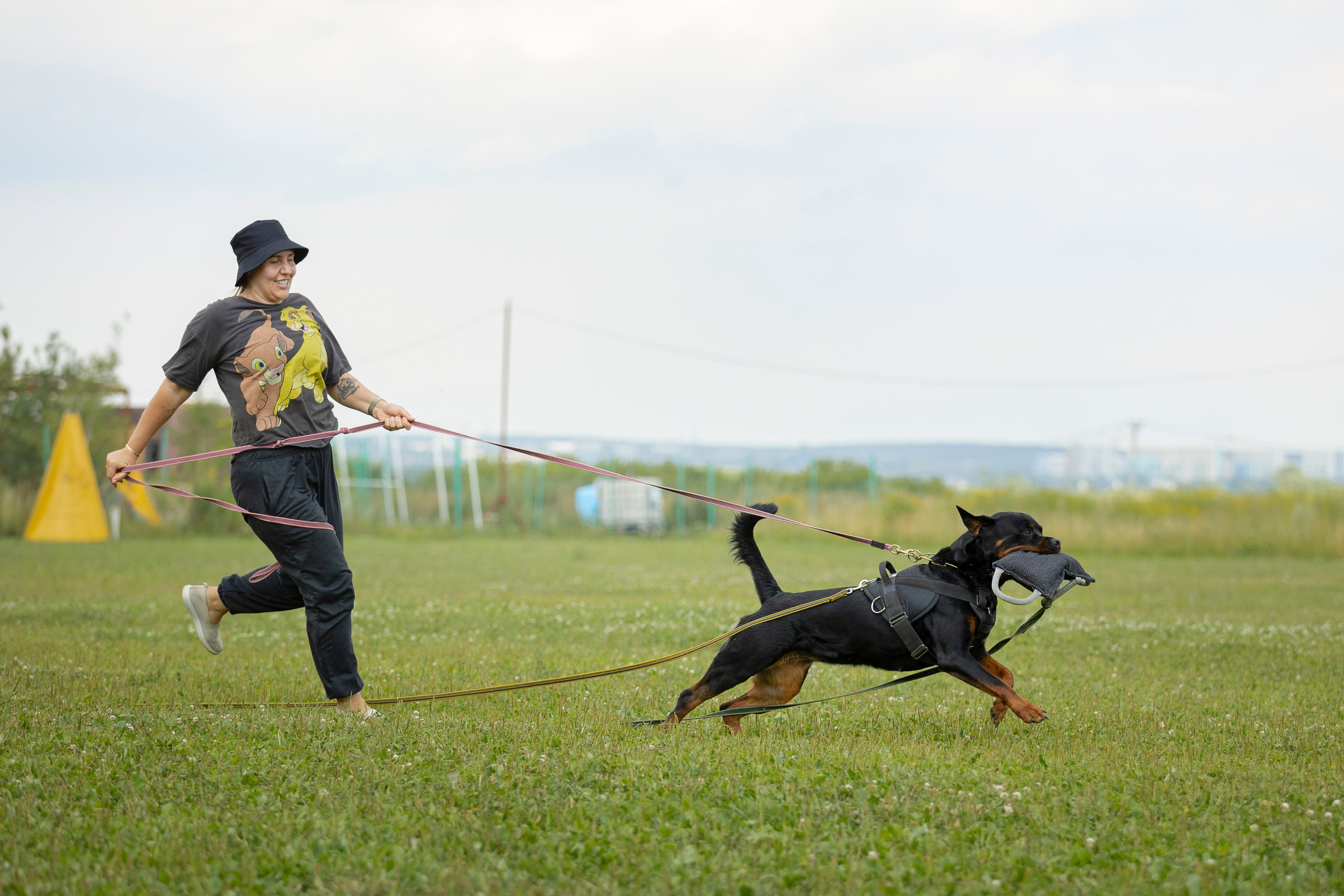 ЗКС. Фотограф анималист, семейный фотограф, фотограф собак Комратова Мария. г. Москва