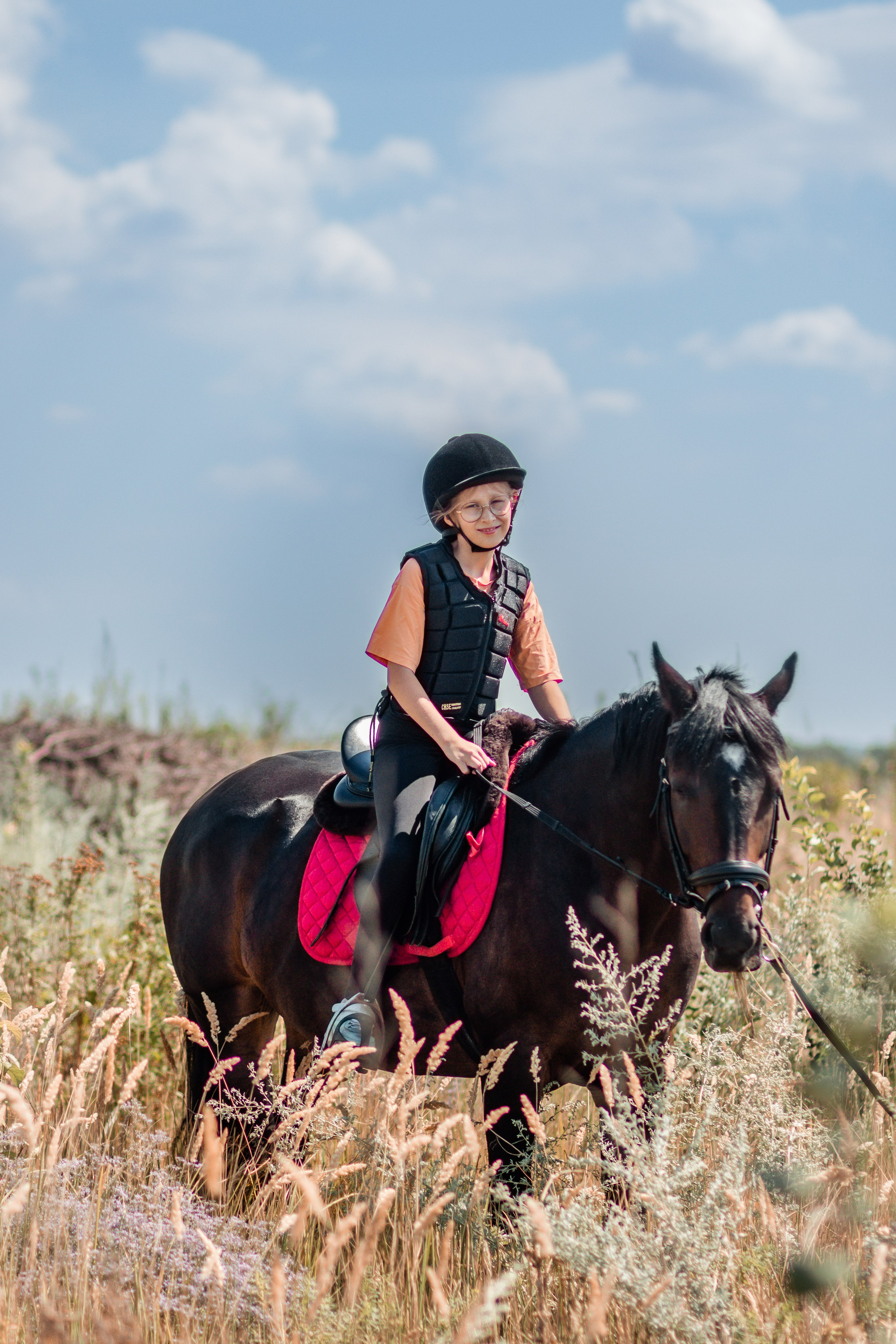 Выезды в поля на лошади
