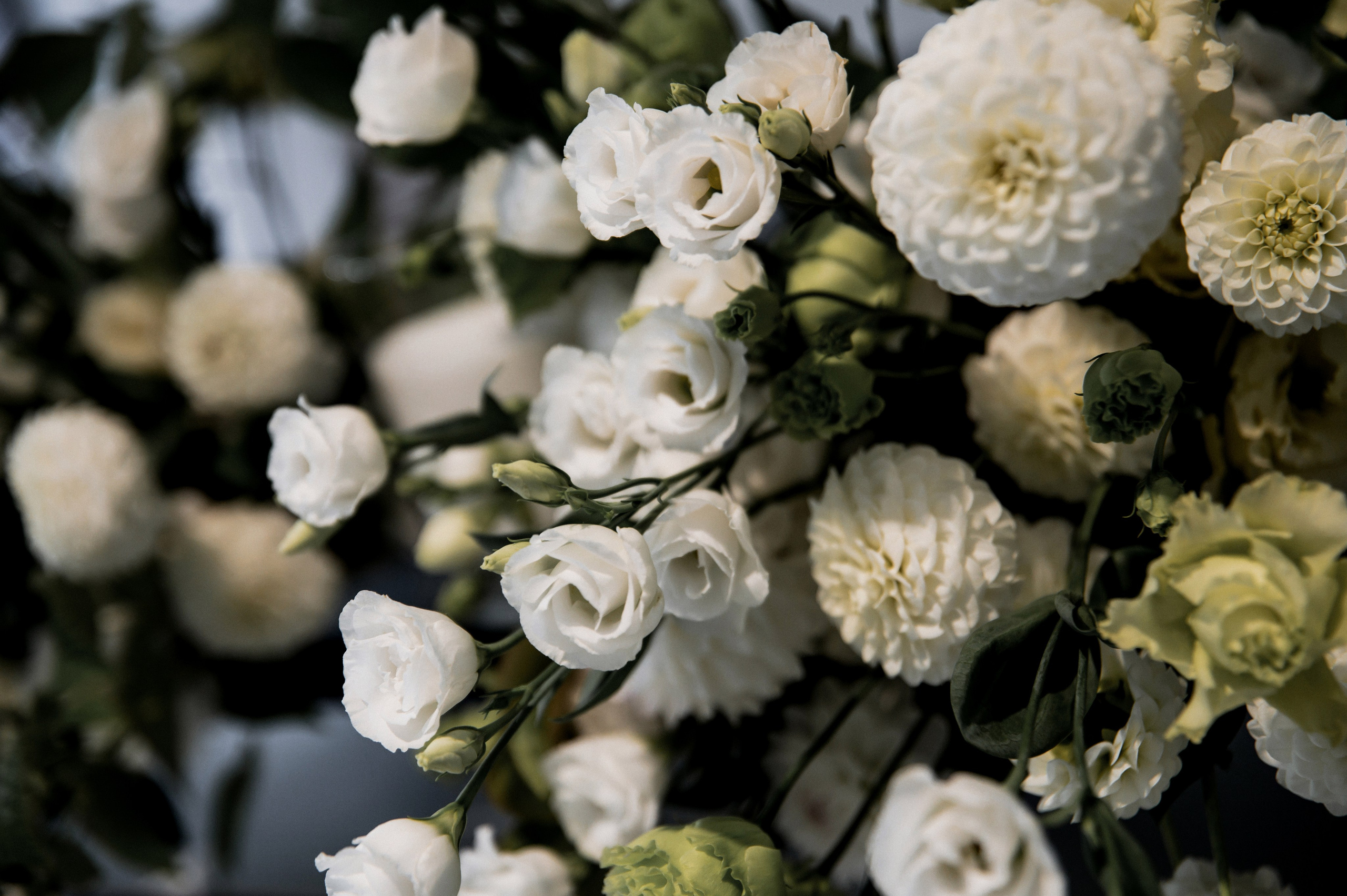 Леонид и Валерия. Фотограф Кирилл Верт