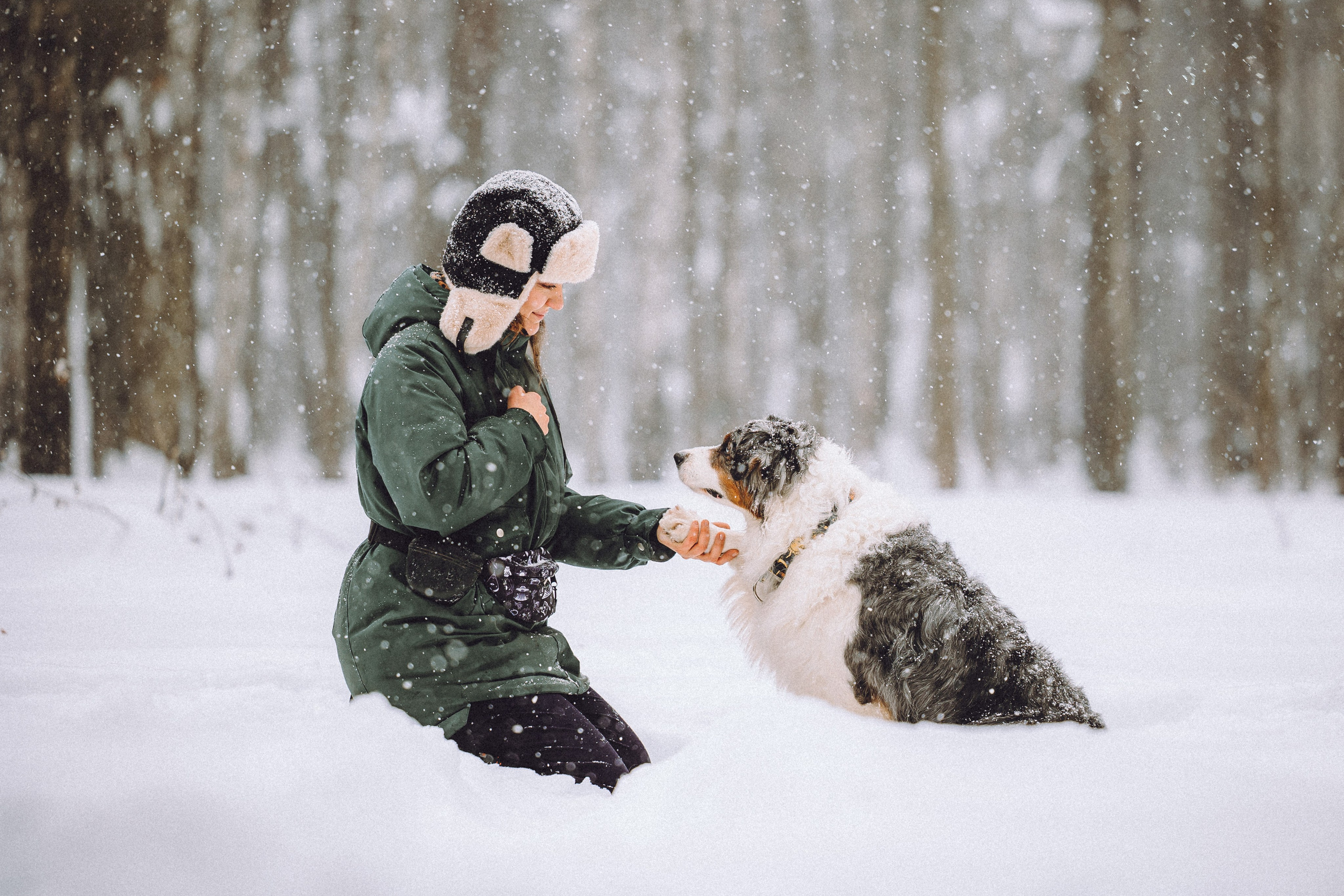 Лена, Принц и Фенек