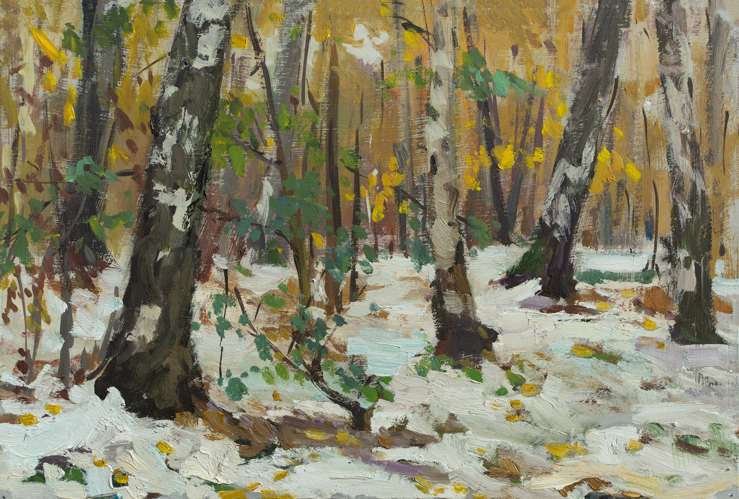 "Этюд.Первый снег" картон, масло 21х30см, 2024