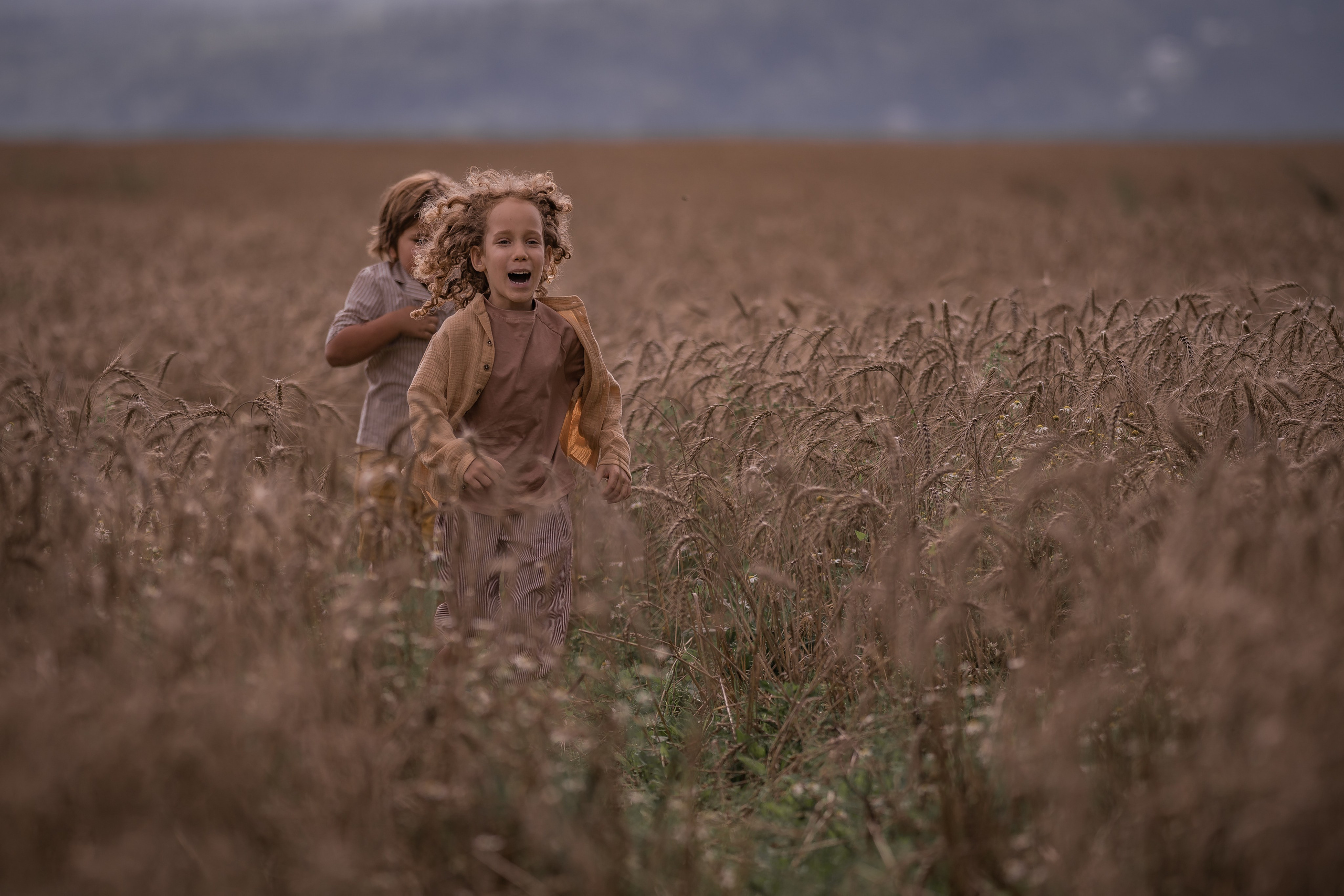 Пшеничное поле, август. Семейный фотограф Ефремова Виктория
