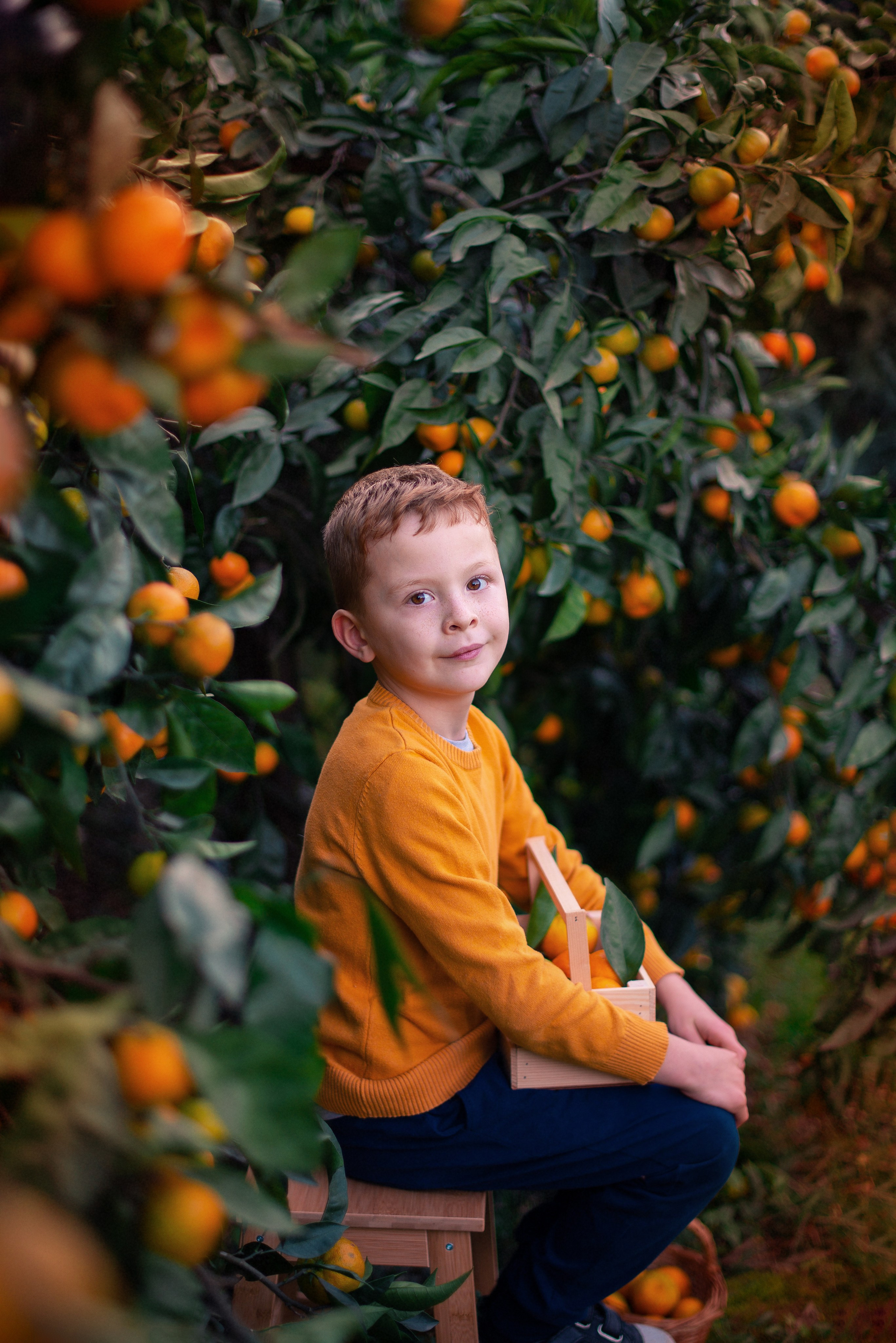 Мандарины. Детский и семейный фотограф в Абхазии