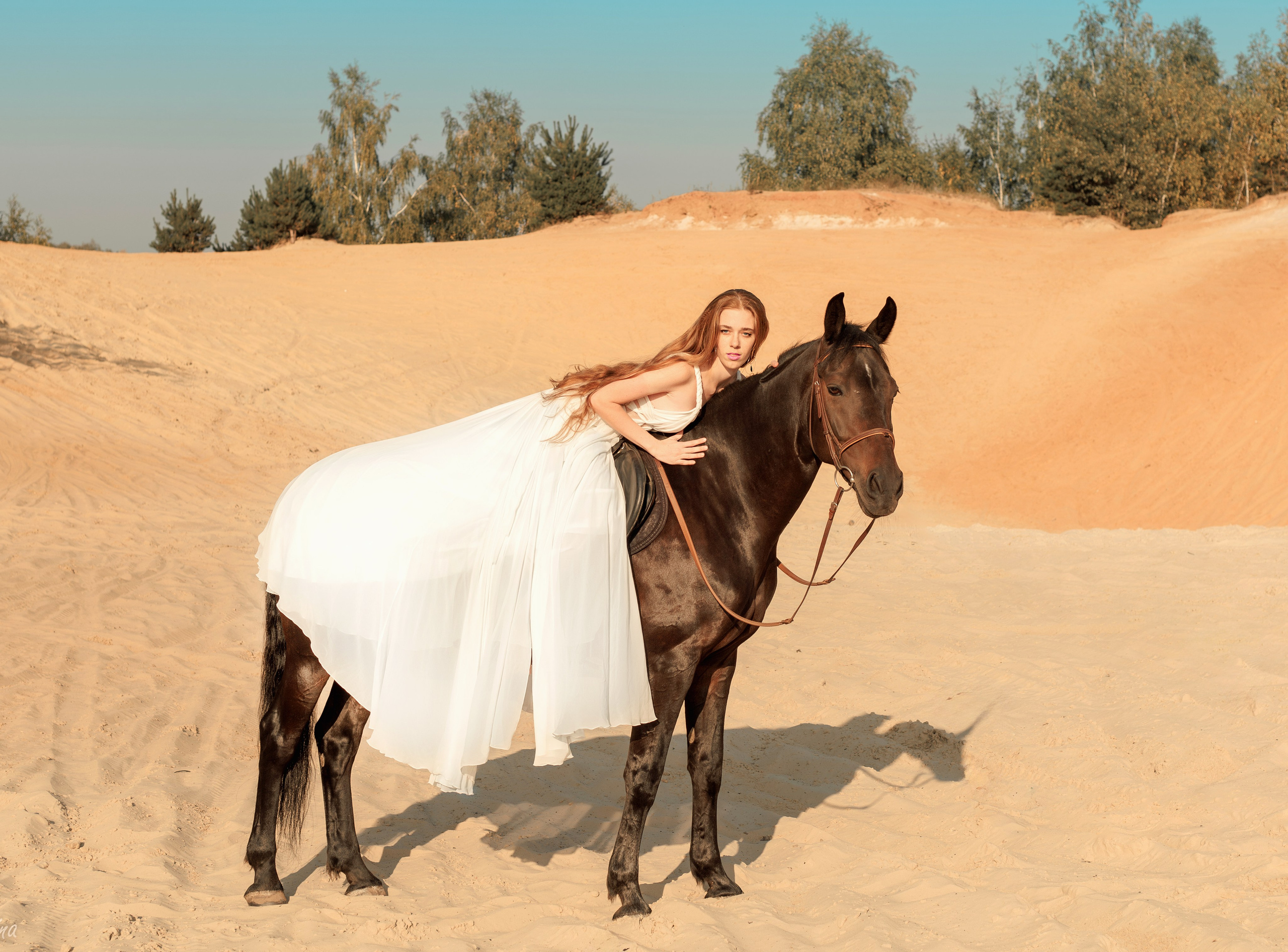 Фотосессия с животными. Семейный и свадебный фотограф в Москве и Домодедово Анна Авилочкина