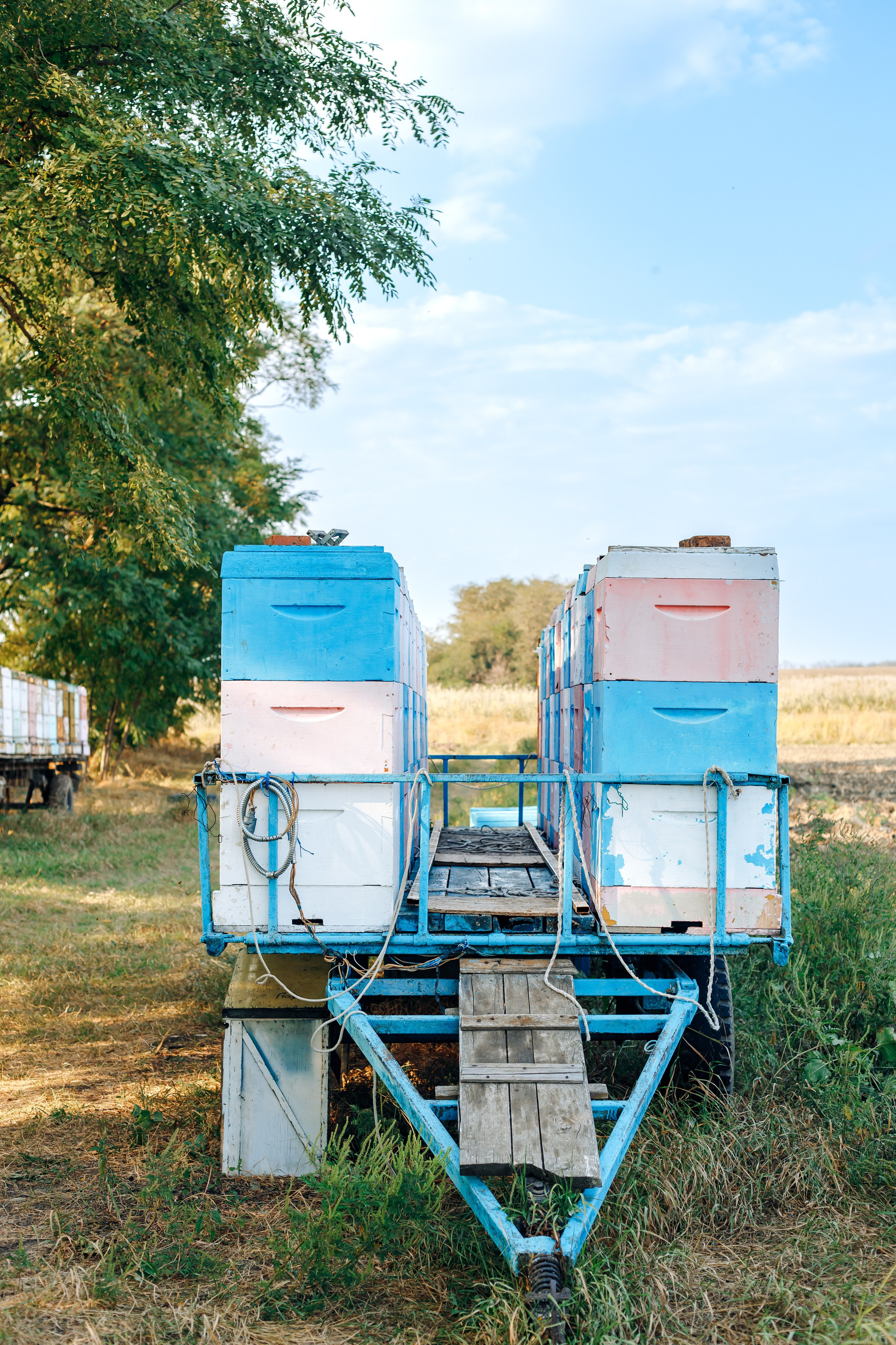Контент фотосессия для частной пасеки. Свадебный и семейный фотограф в Краснодарском крае Мария Данилкина