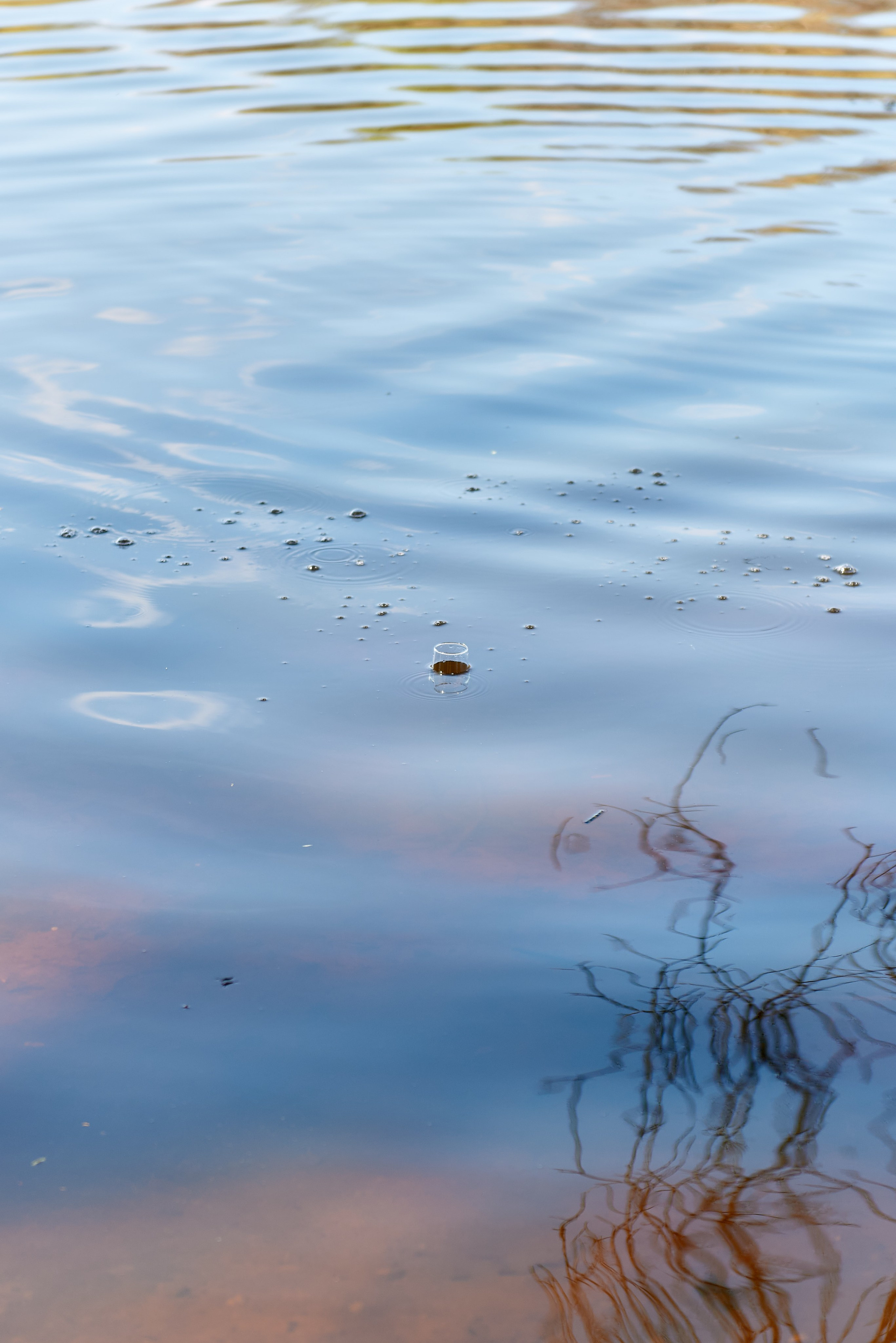 В & Я. Семейный и детский фотограф в г. Ногинске Ангелина Хасанова