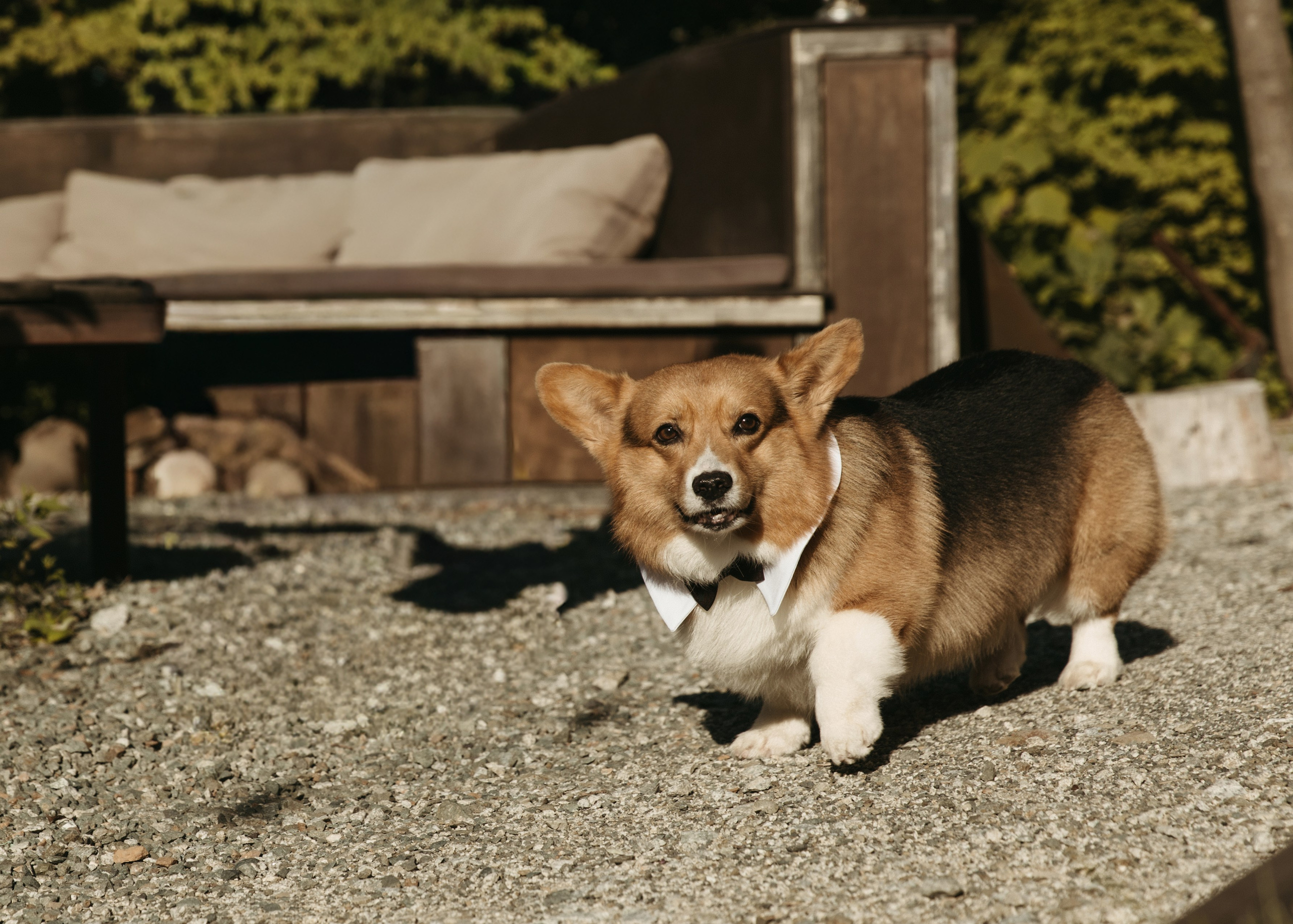 Кристина & Максим. Свадебный и семейный фотограф Владивосток — Приморский край. Анастасия Щетинина