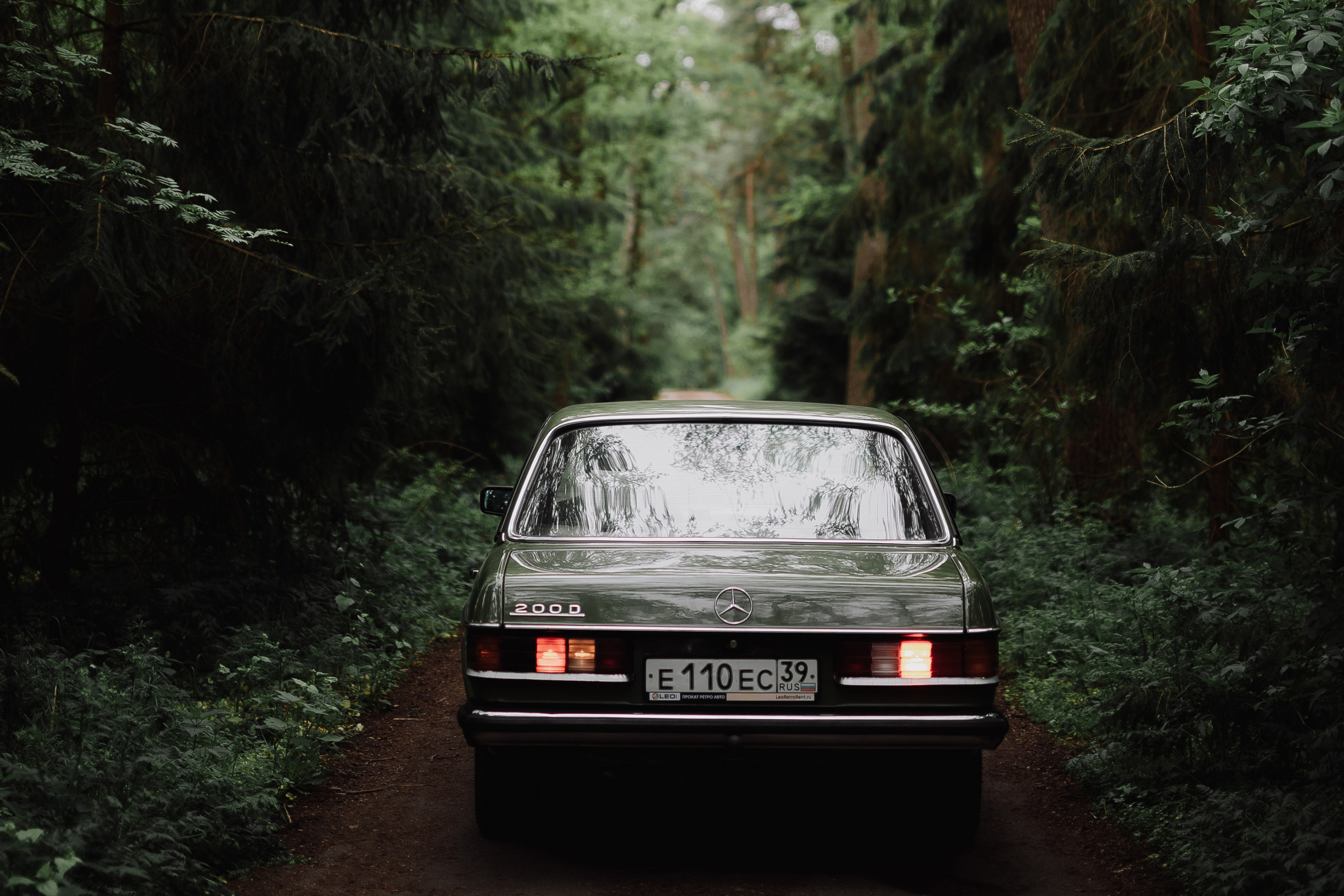 Е & E`23. Фотограф Кольчугино/Владимир/Москва Елизавета Иода