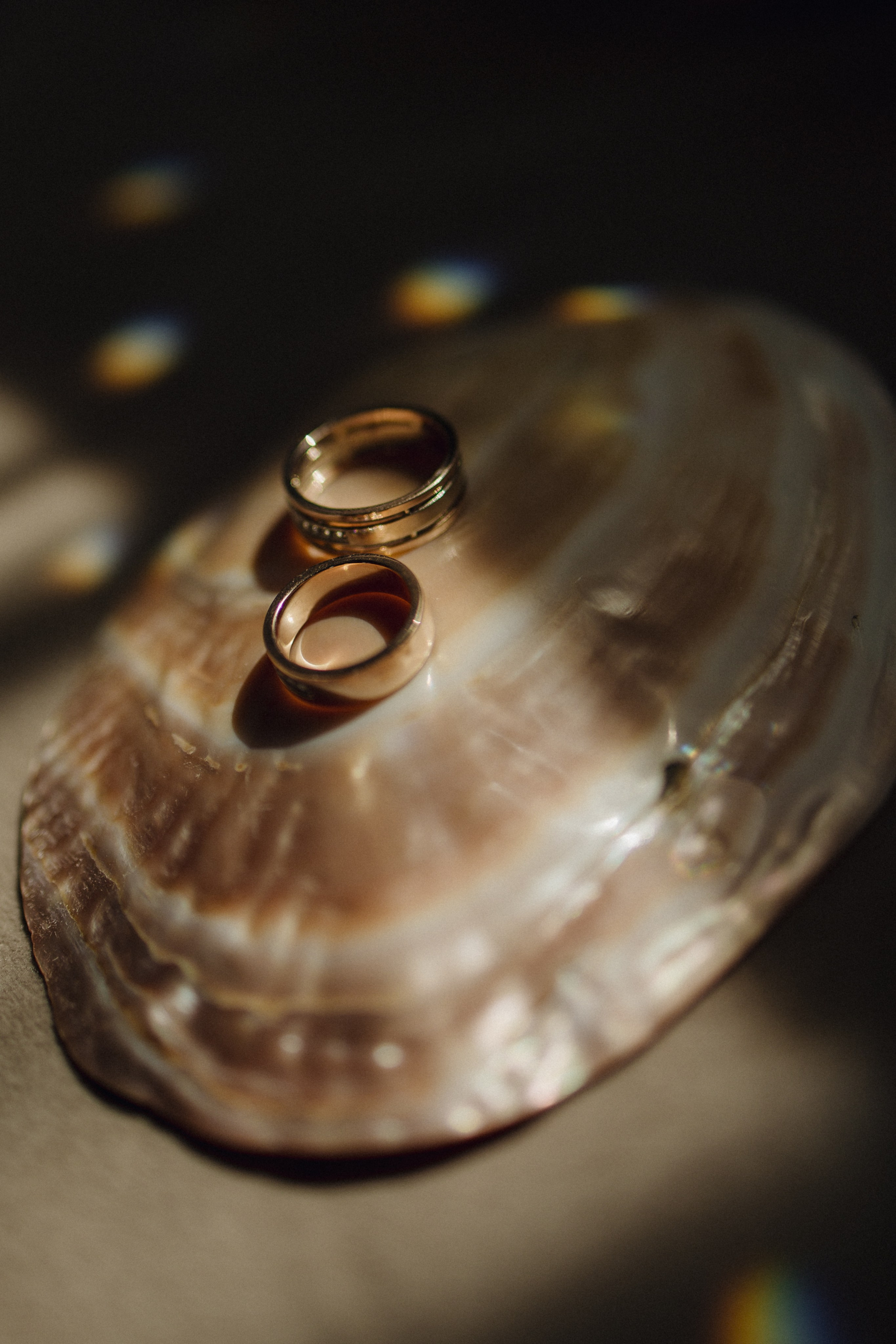 Анастасия & Тельман. Свадебный фотограф ростов