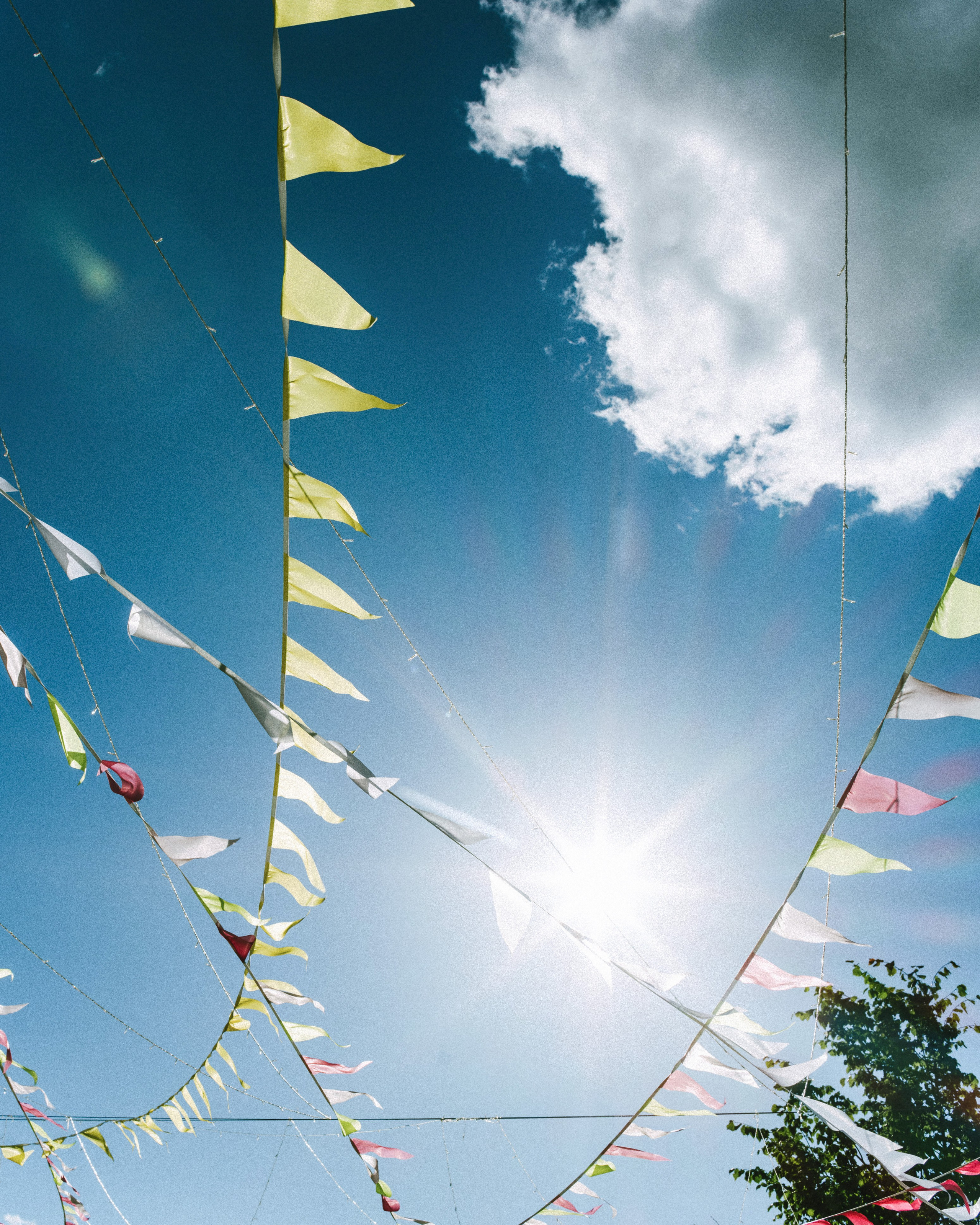 Сева и Маша. Свадебный фотограф в Москве Денис Анурьев