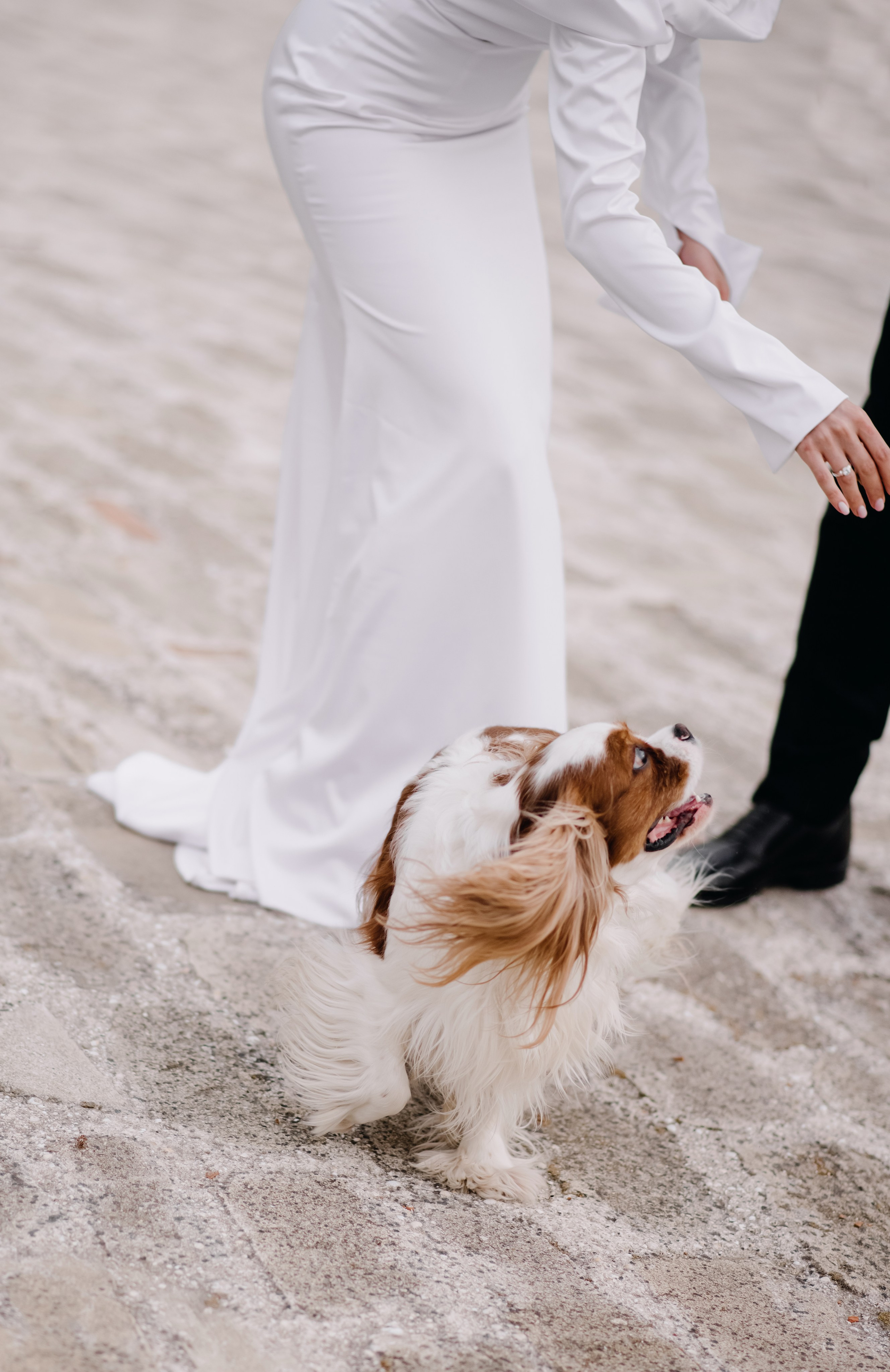 Прогулка в Шато Андре. Свадебный фотограф в Краснодаре и Сочи Комолова Екатерина