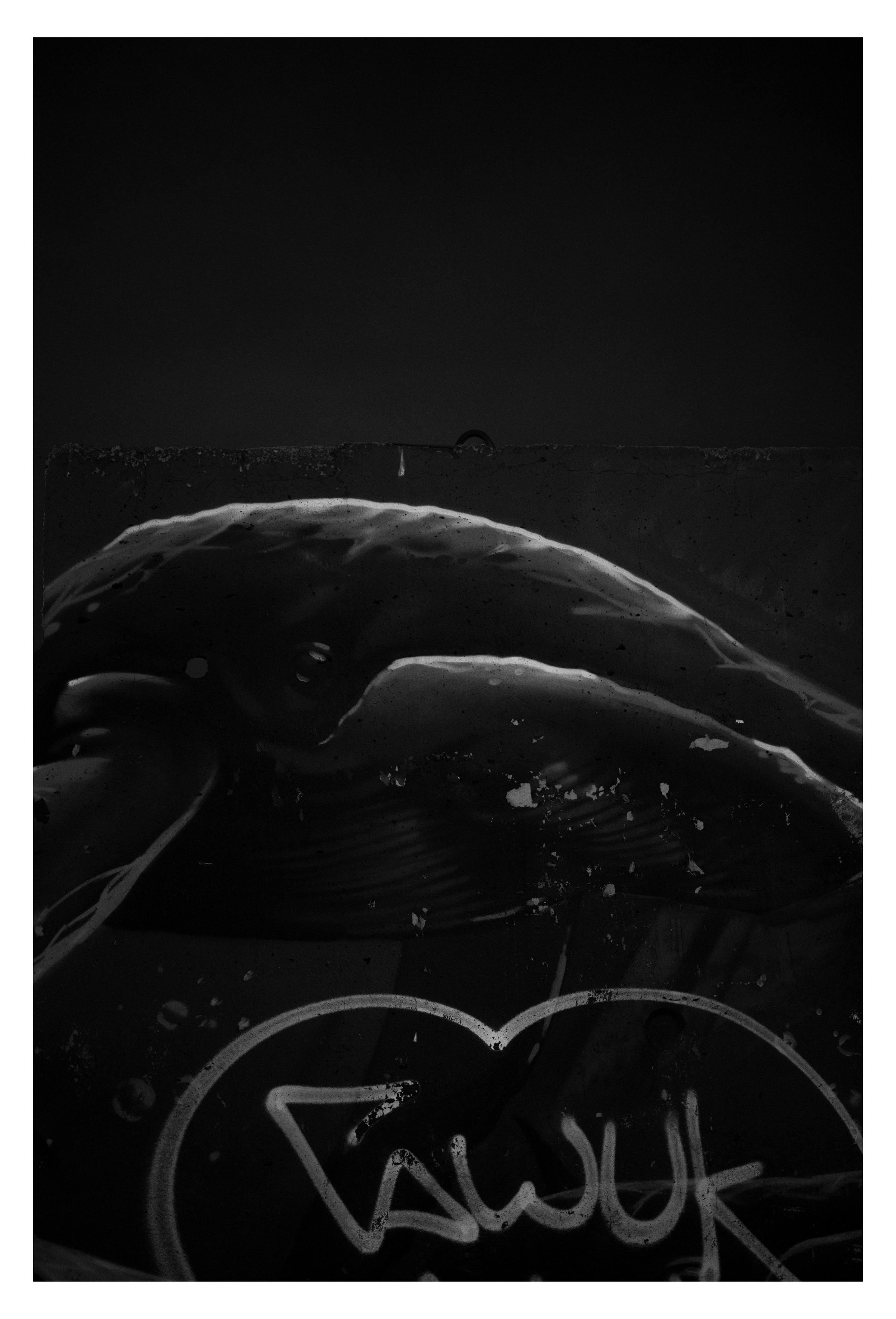 CHELYABINSK. Photographer Manakova Olga