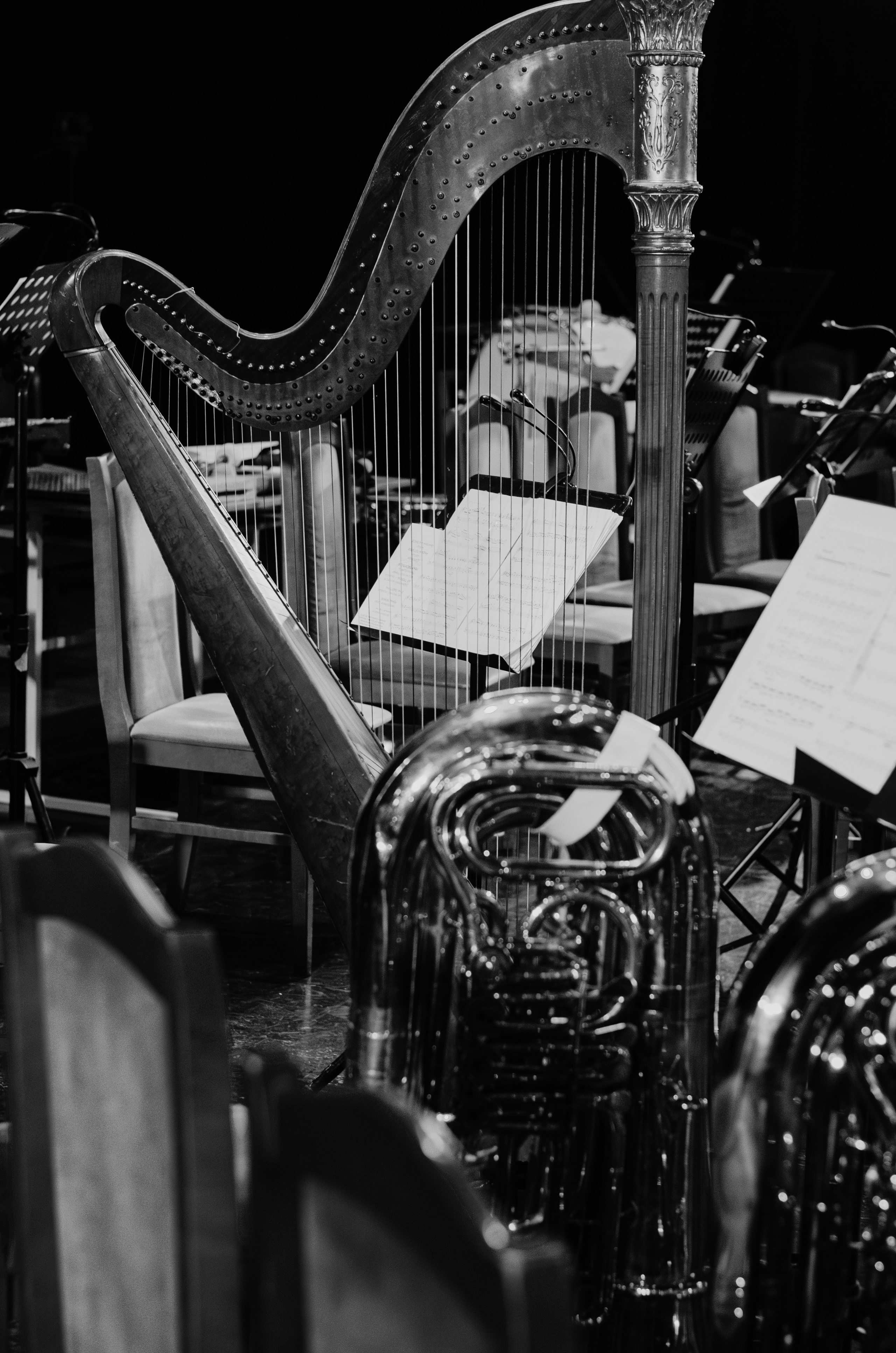 Новогодняя программа «Щелкунчик» на сцене Дома Офицеров. Портретный и репортажный фотограф в Санкт-Петербурге Варвара Жукова