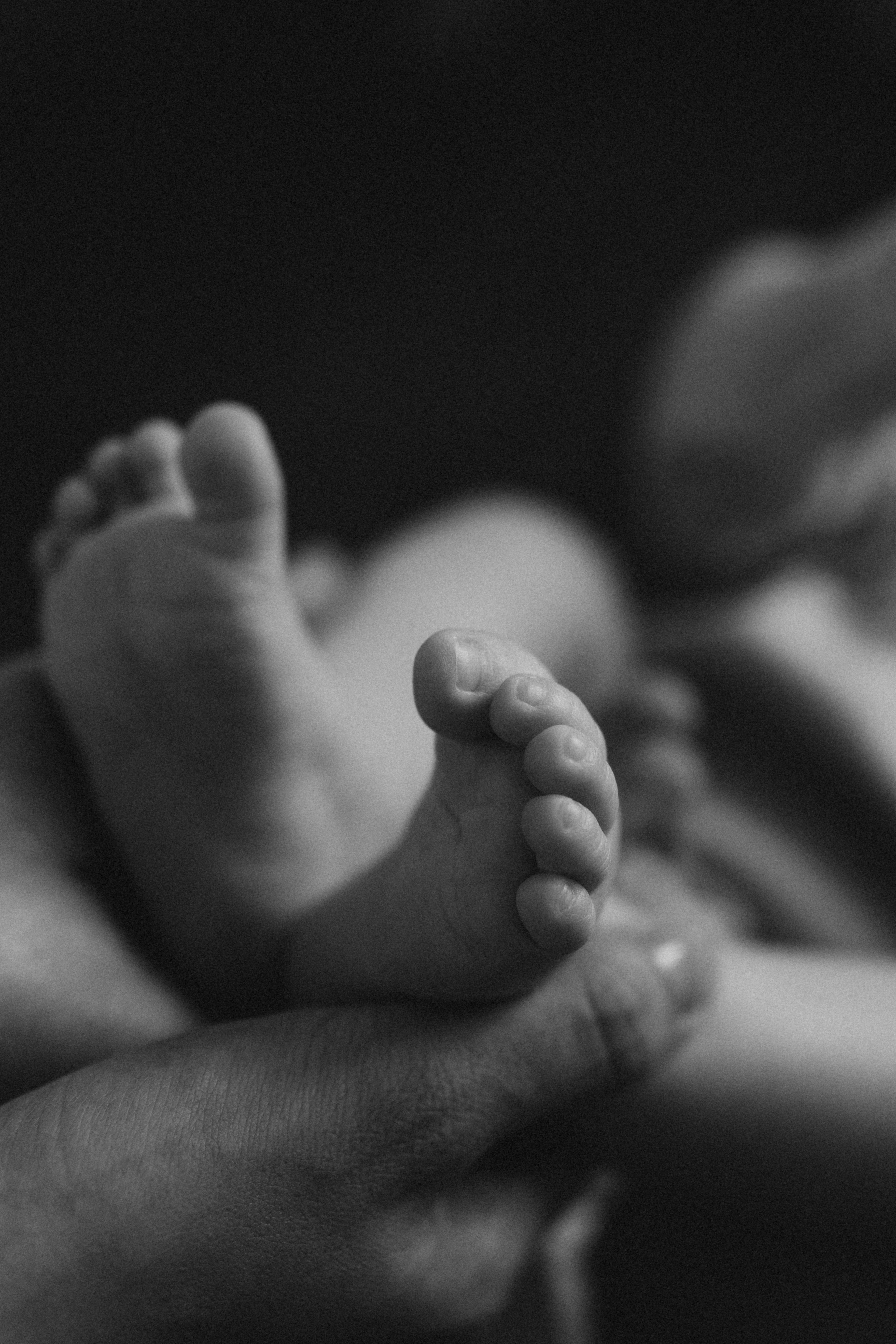 Алина, Артур и Артём. Семейный фотограф в Челябинске Ксения Зубкова