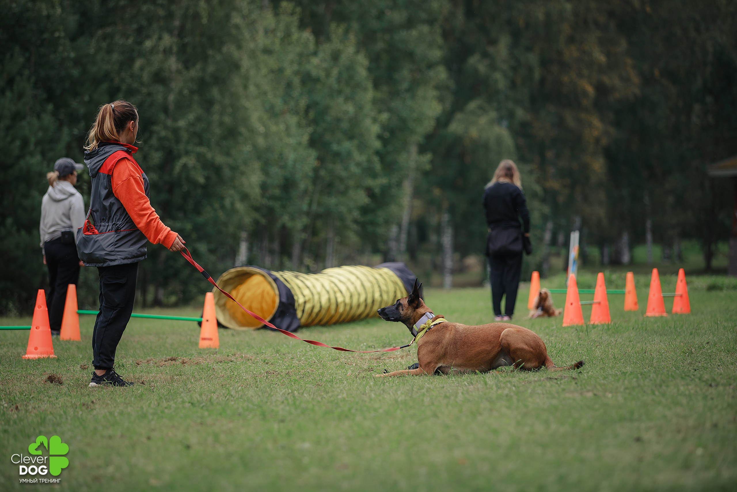 Кинологический лагерь CleverDog, 2024. Фотограф-анималист Mary Mart — Москва, Питер