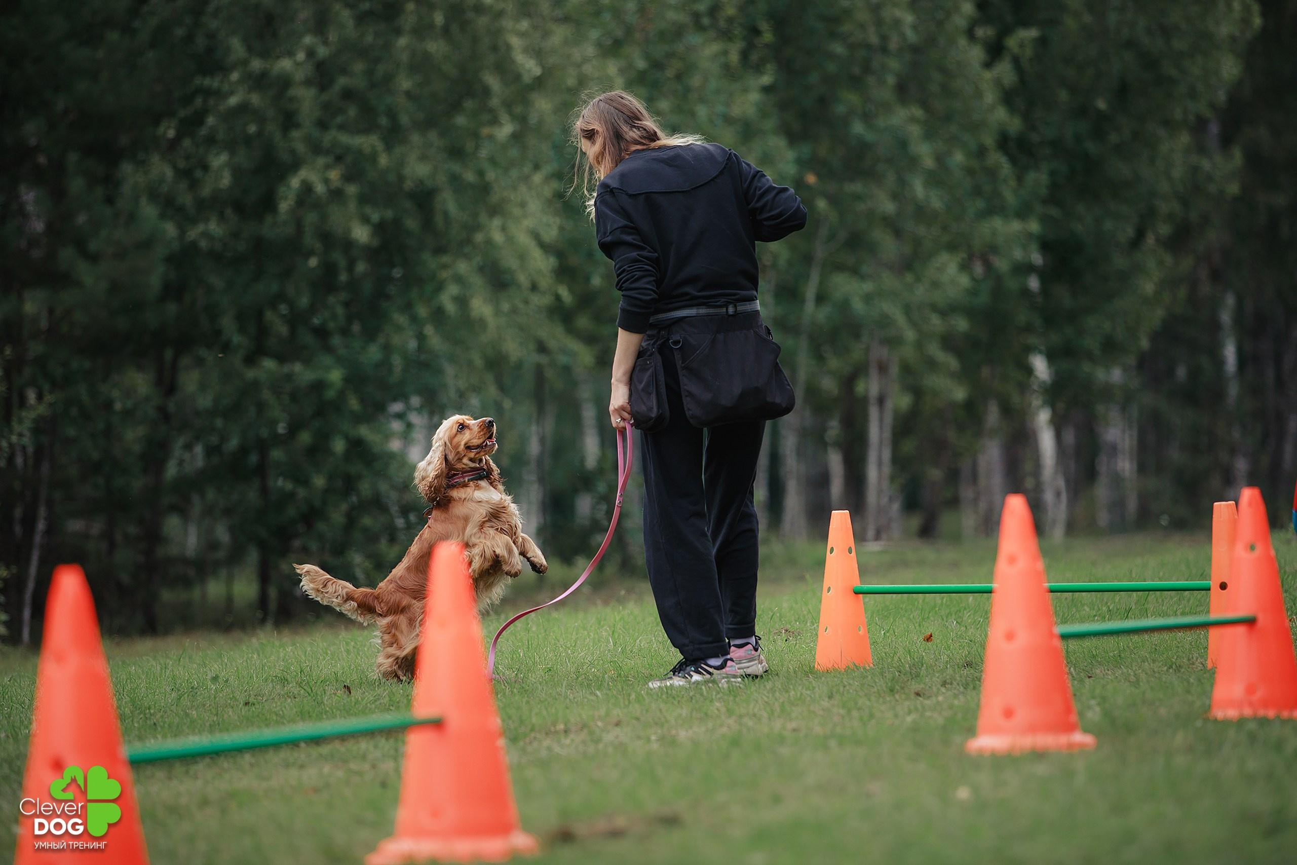Кинологический лагерь CleverDog, 2024. Фотограф-анималист Mary Mart — Москва, Питер