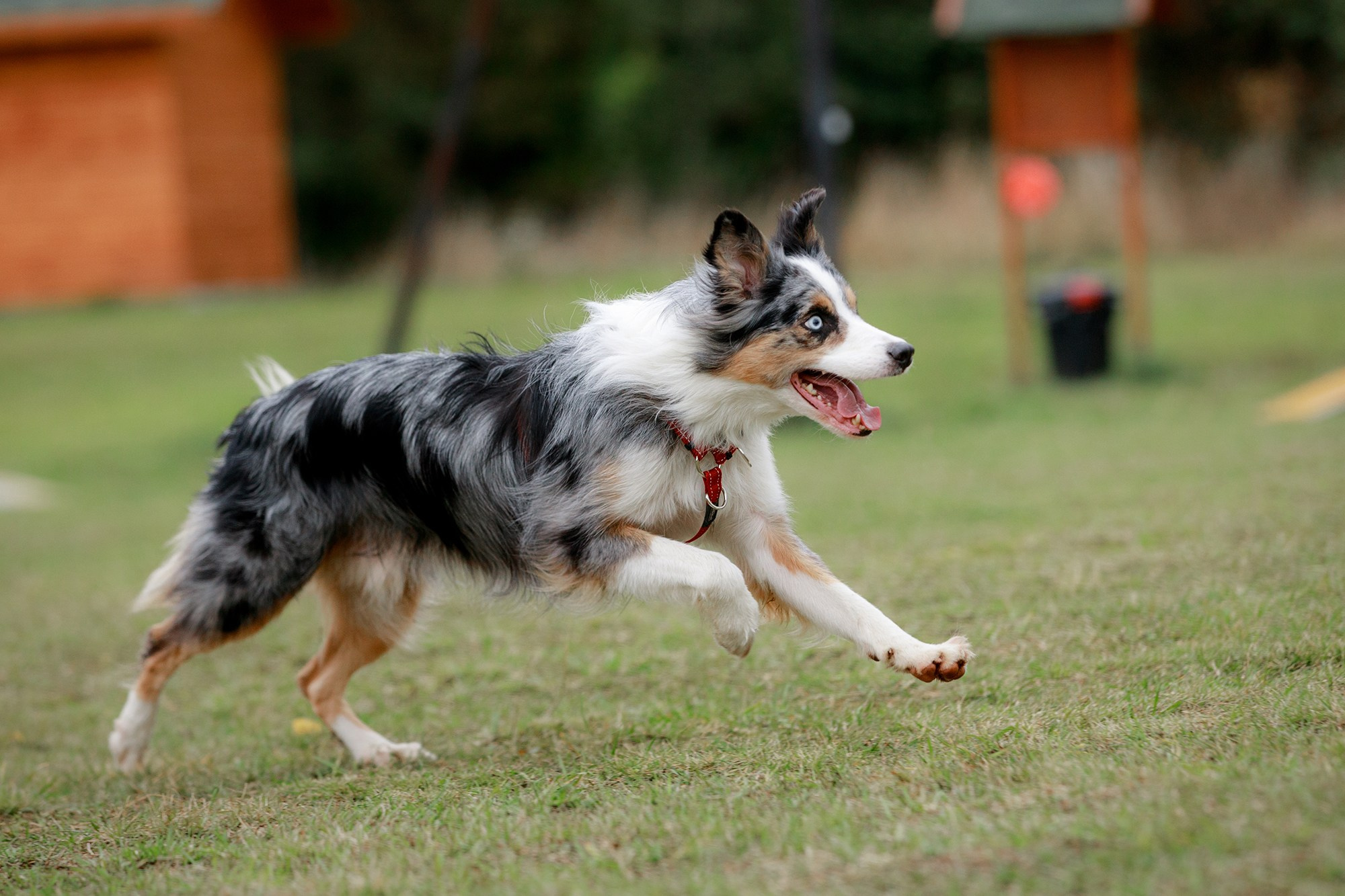 Лагерь по ОБД с Инной Баженовой. Фотограф-анималист Mary Mart — Москва, Питер