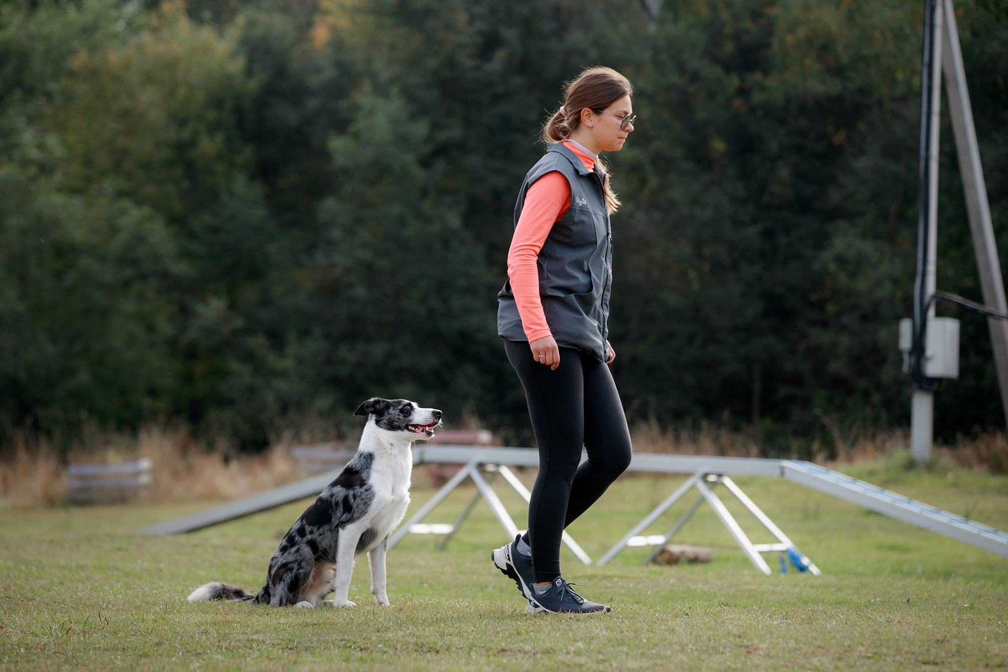 Лагерь по ОБД с Инной Баженовой. Фотограф-анималист Mary Mart — Москва, Питер