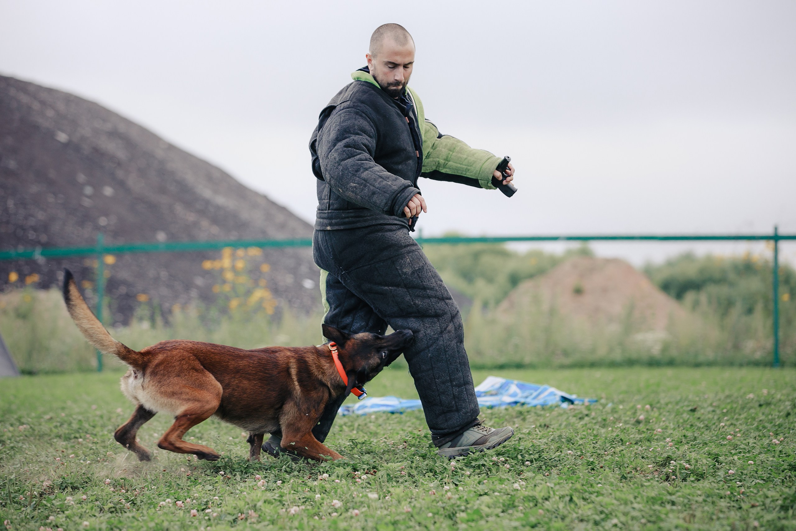 Мондьоринг М1, М2, М3, Вологда. Фотограф-анималист Mary Mart — Москва, Питер