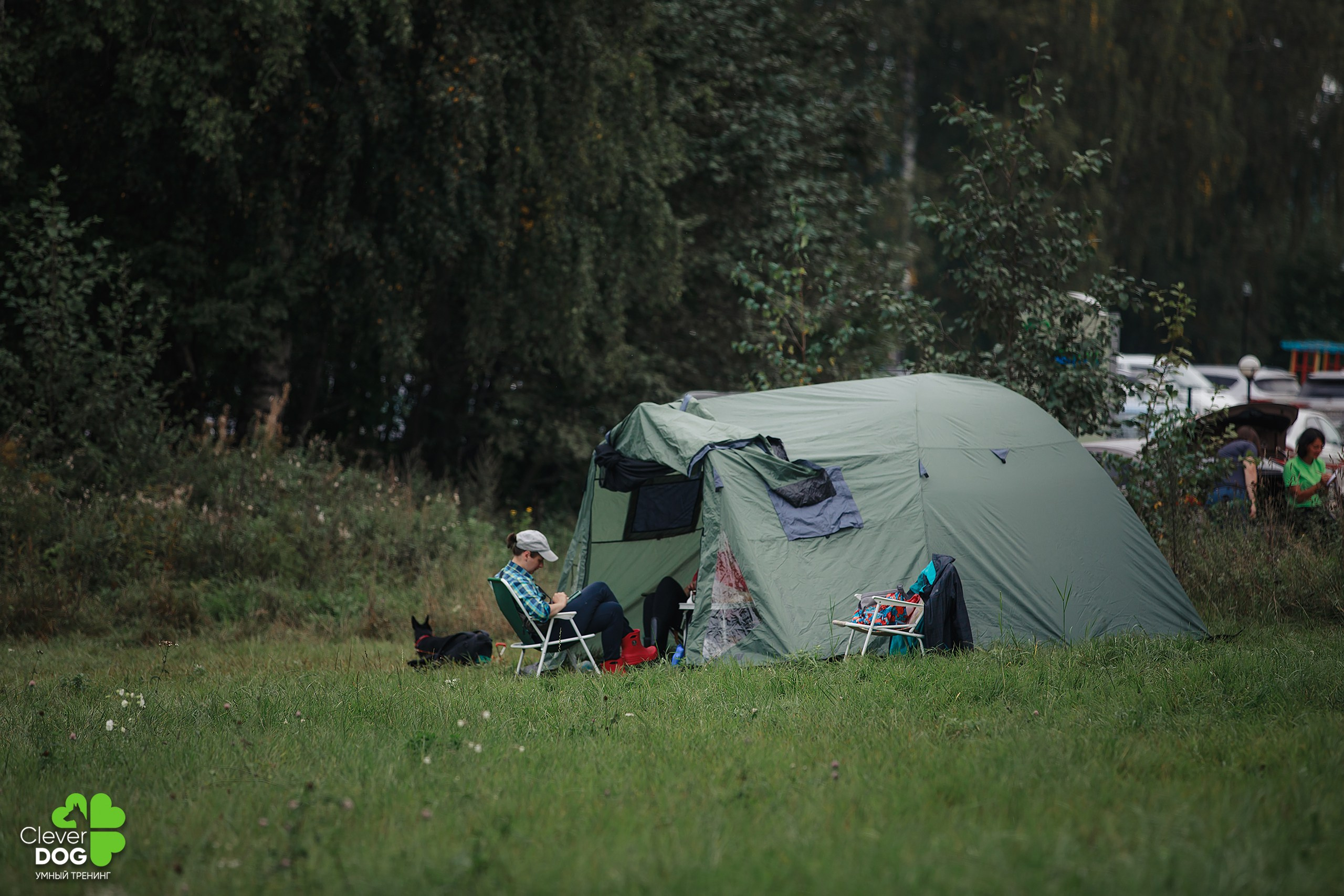 Кинологический лагерь CleverDog, 2024. Фотограф-анималист Mary Mart — Москва, Питер