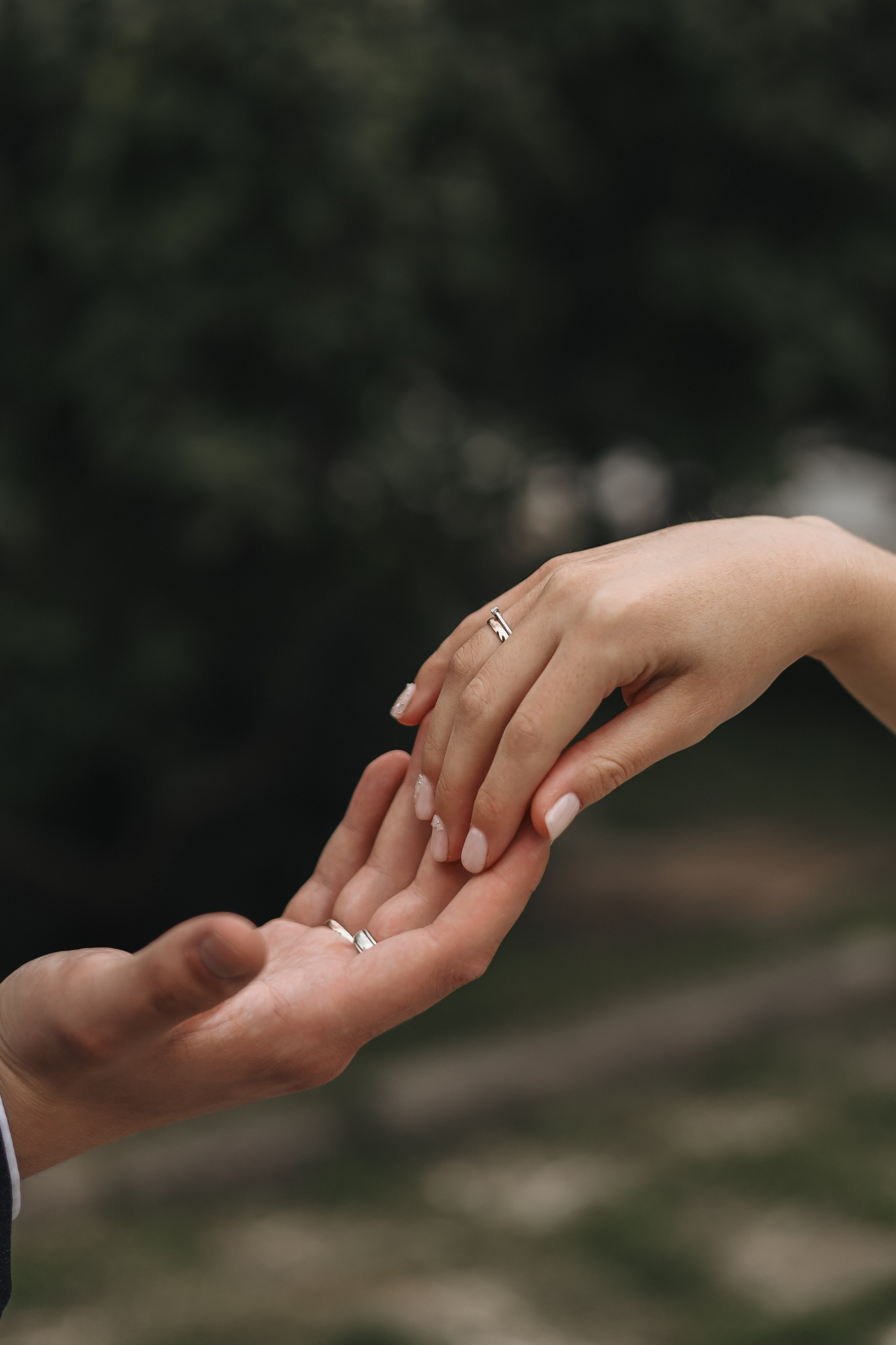 Алина и Михаил. Диана Чечель. Свадебный и портретный фотограф в Москве