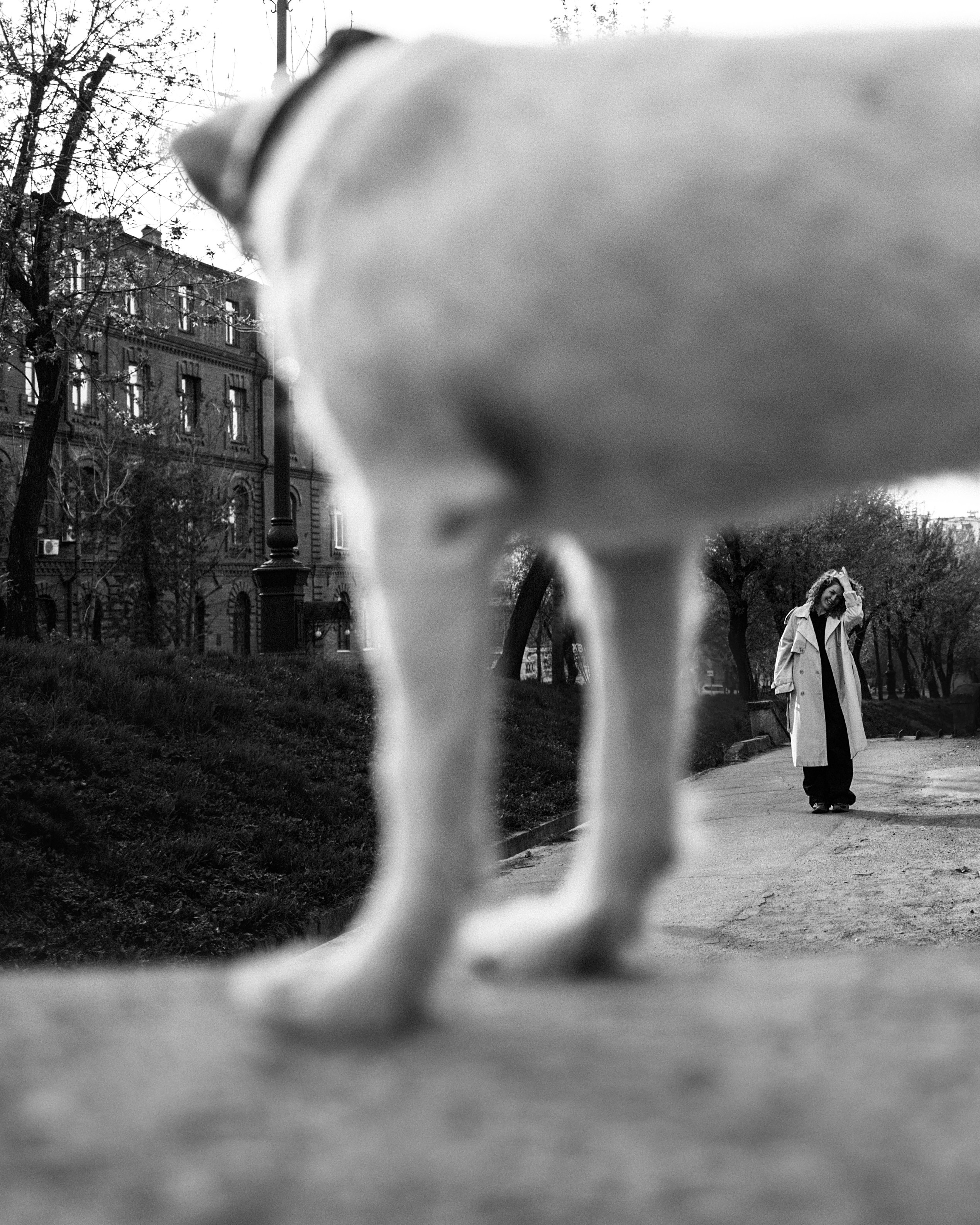 Рассвет в городе: Ира и парсон Гром. Портфолио