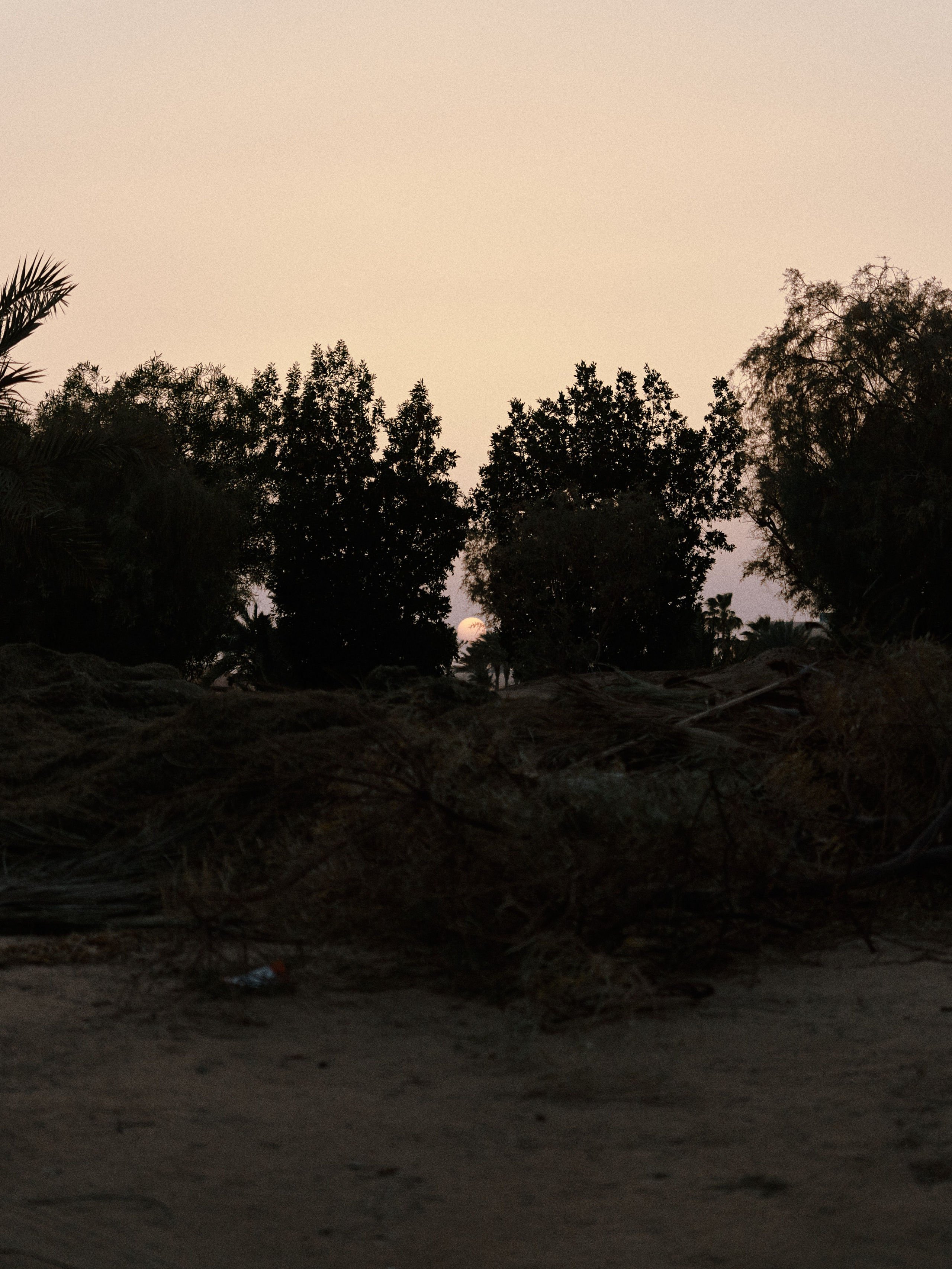 Диптих. Jorgis — фотограф в Хургаде / обучение фотографии