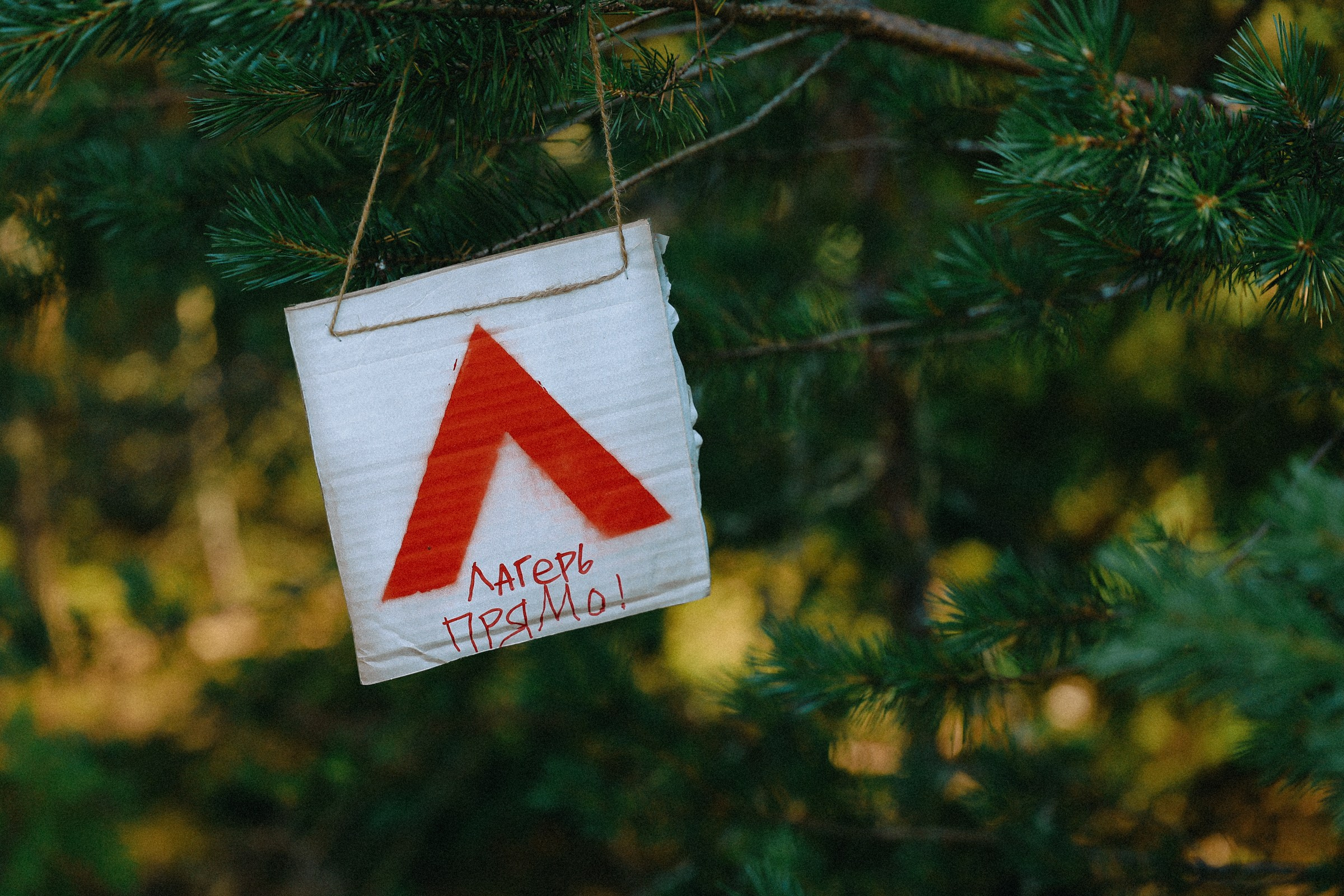 /РЕПОРТАЖ/ Велогонка ЦАРЬ-ГРЕЙДЕР 2. 2024. Свадебный фотограф Великий Новгород Станислав Кособудский