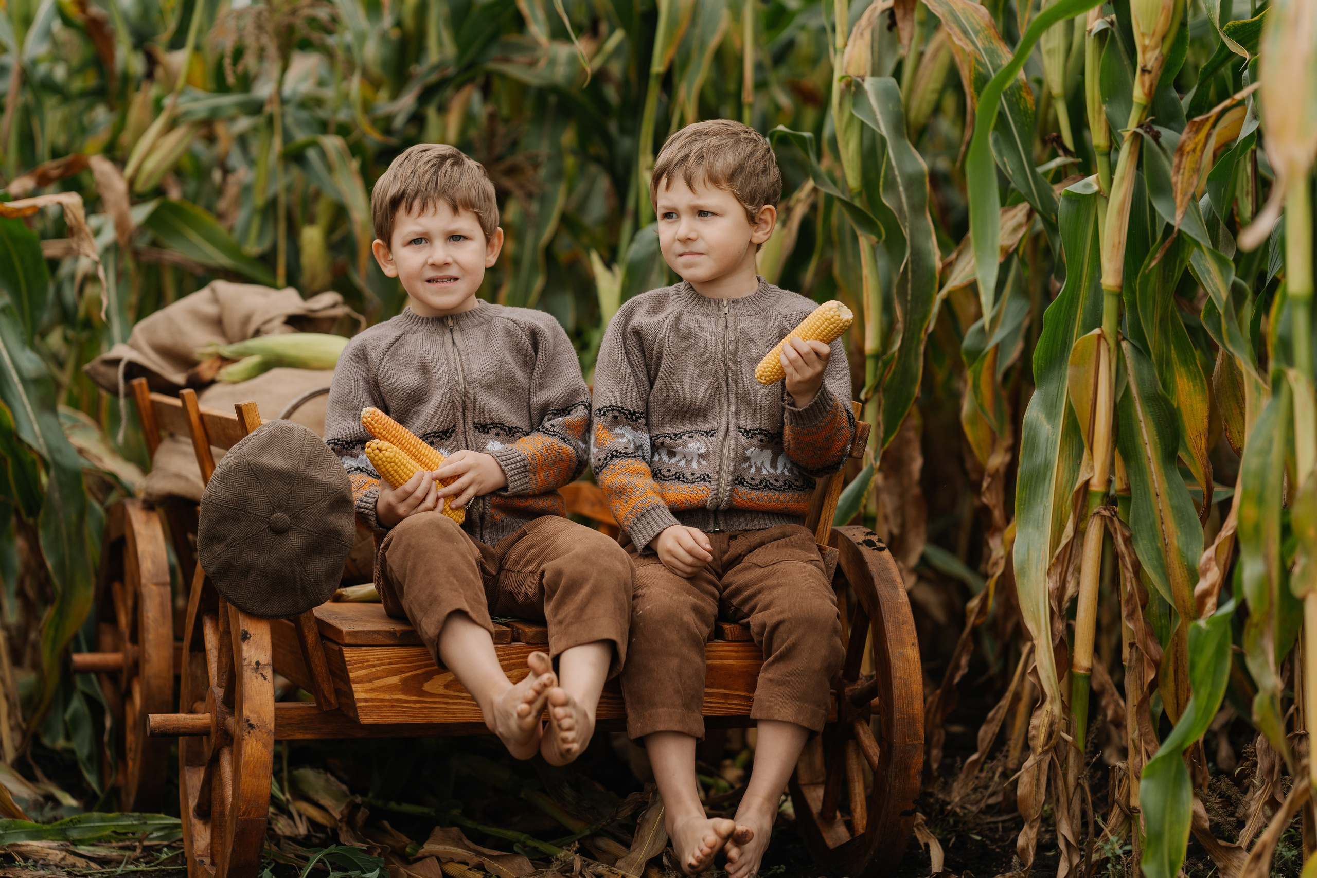 Ваня и Илья в кукурузе. СВАДЕБНЫЙ ФОТОГРАФ КРАСНОЯРСК