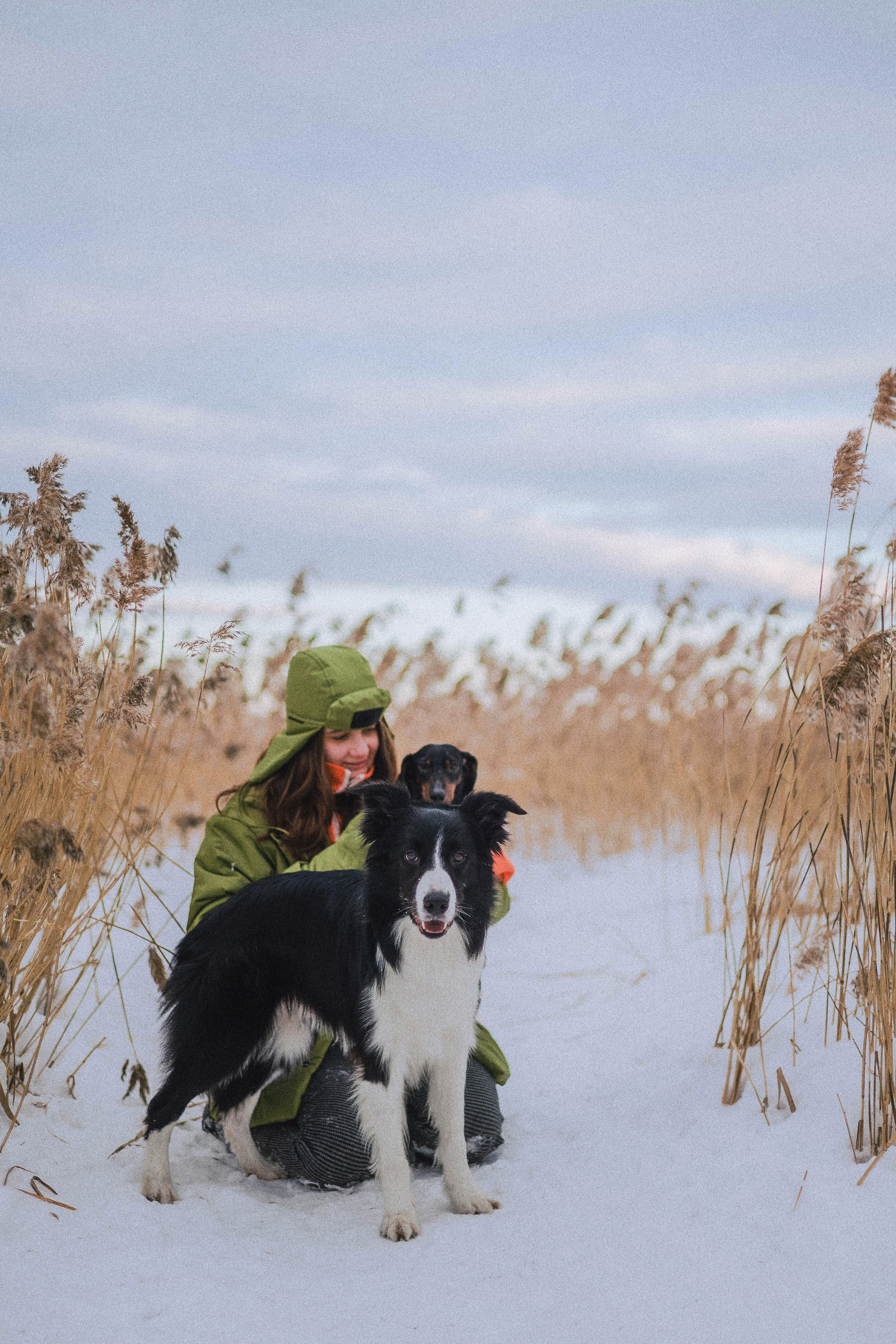 Маша, Рэм и Ньютон. Фотограф-анималист Богданова Полина