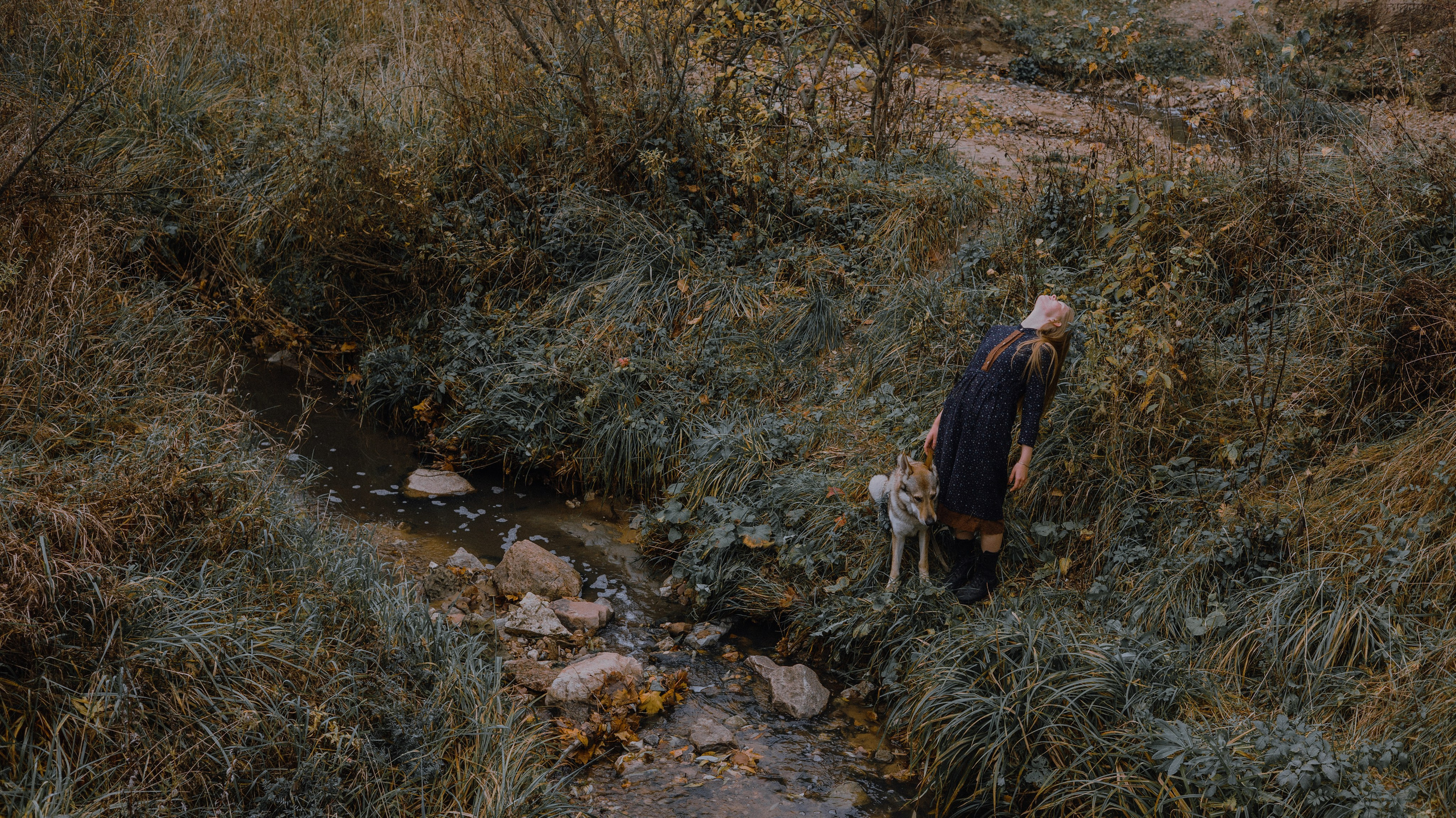 Полина и Вегард. Фотограф-анималист Богданова Полина