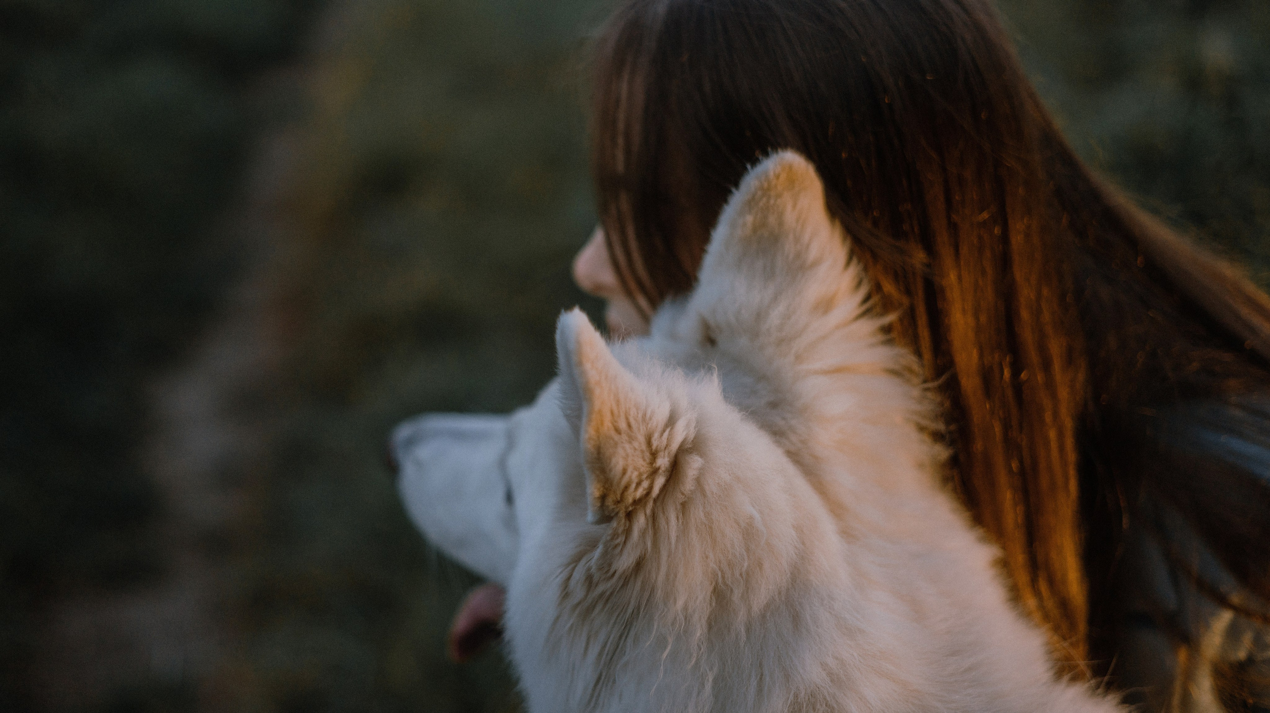 Вика и Уля. Фотограф-анималист Богданова Полина