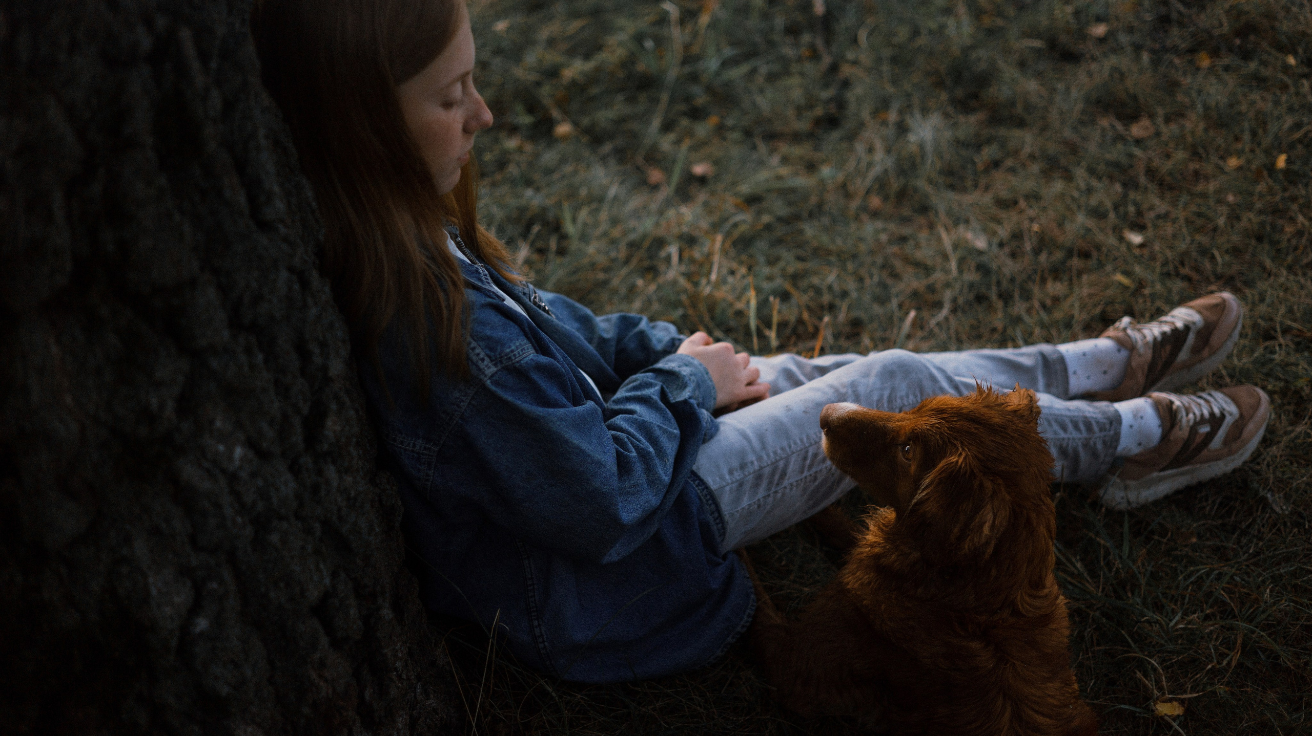 Ксюша и Мэди. Фотограф-анималист Богданова Полина