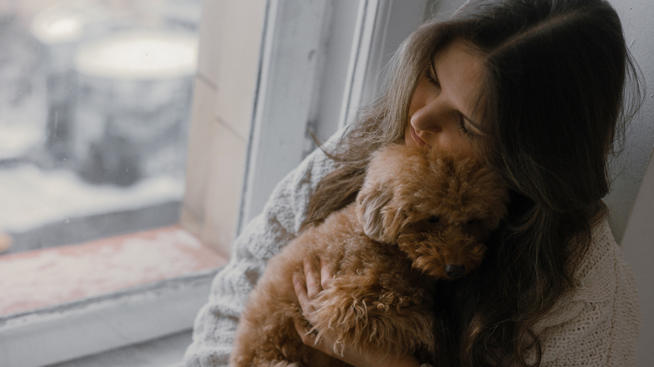 Маша, Одди и Нэвил. Фотограф-анималист Богданова Полина