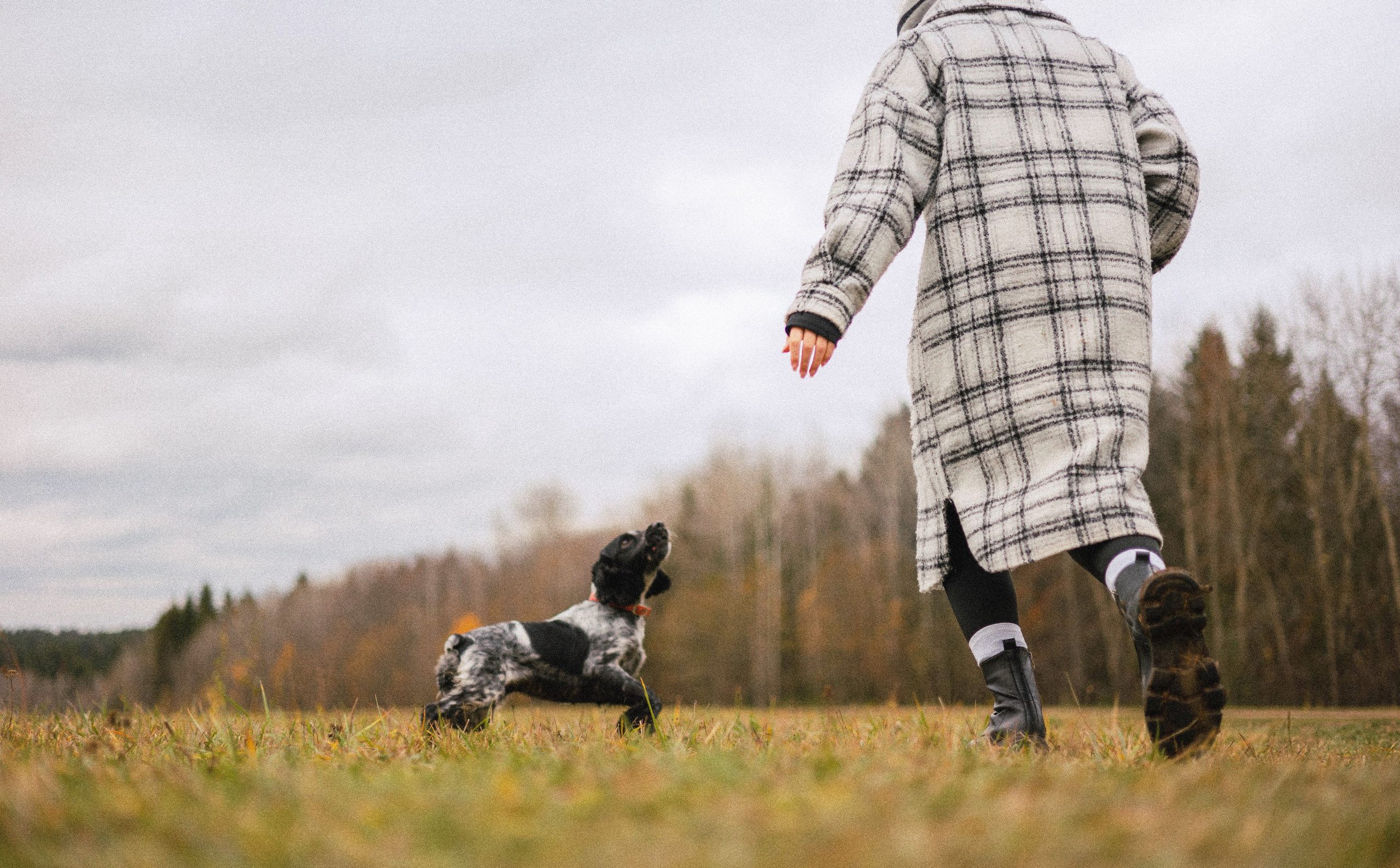Вика и Ава. Фотограф-анималист Богданова Полина