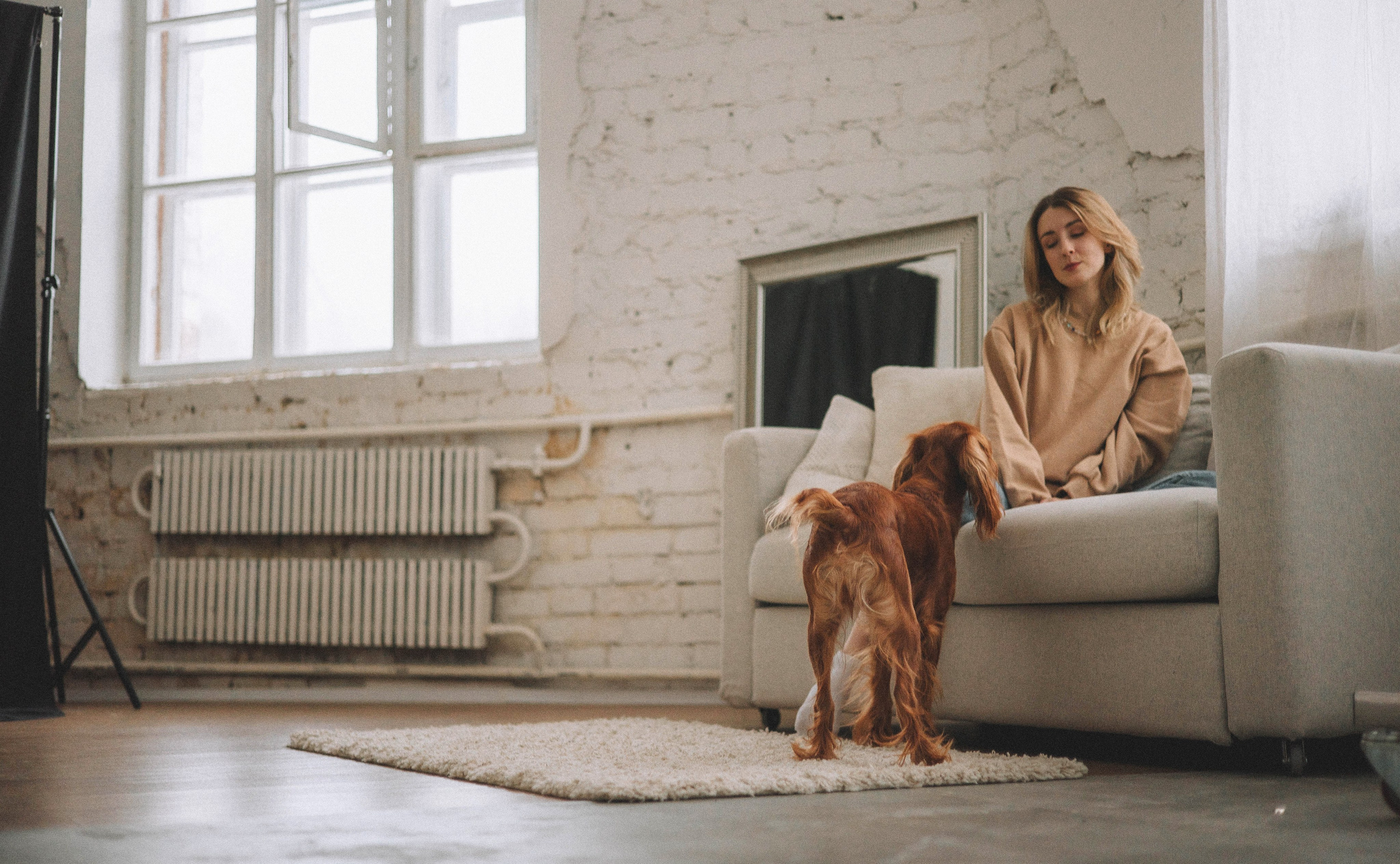 Алина и Дженни. Фотограф-анималист Богданова Полина