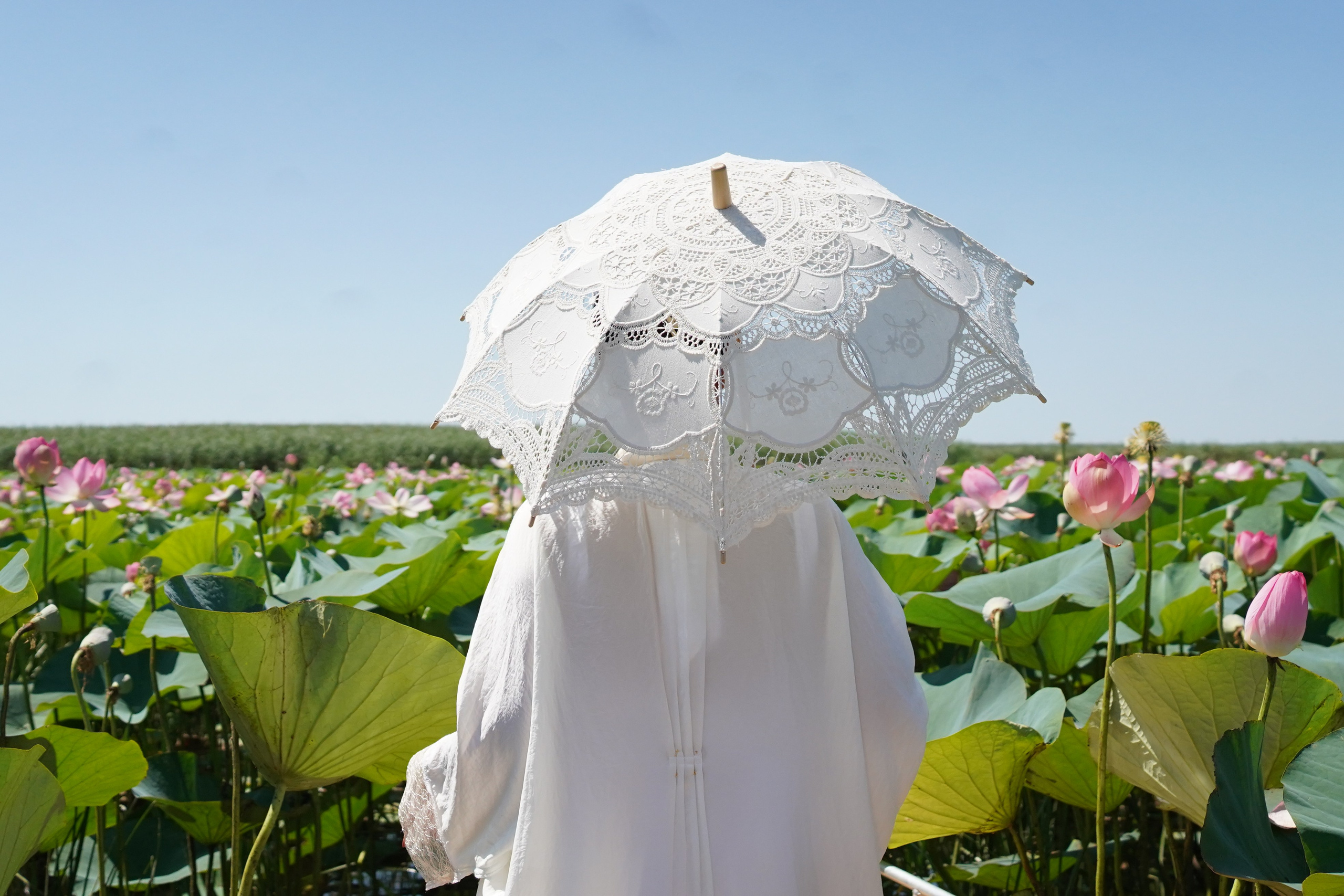 Фото-тур в лотосовые поля. Фотограф в Астрахани • Фото-туры • Виктория Герма
