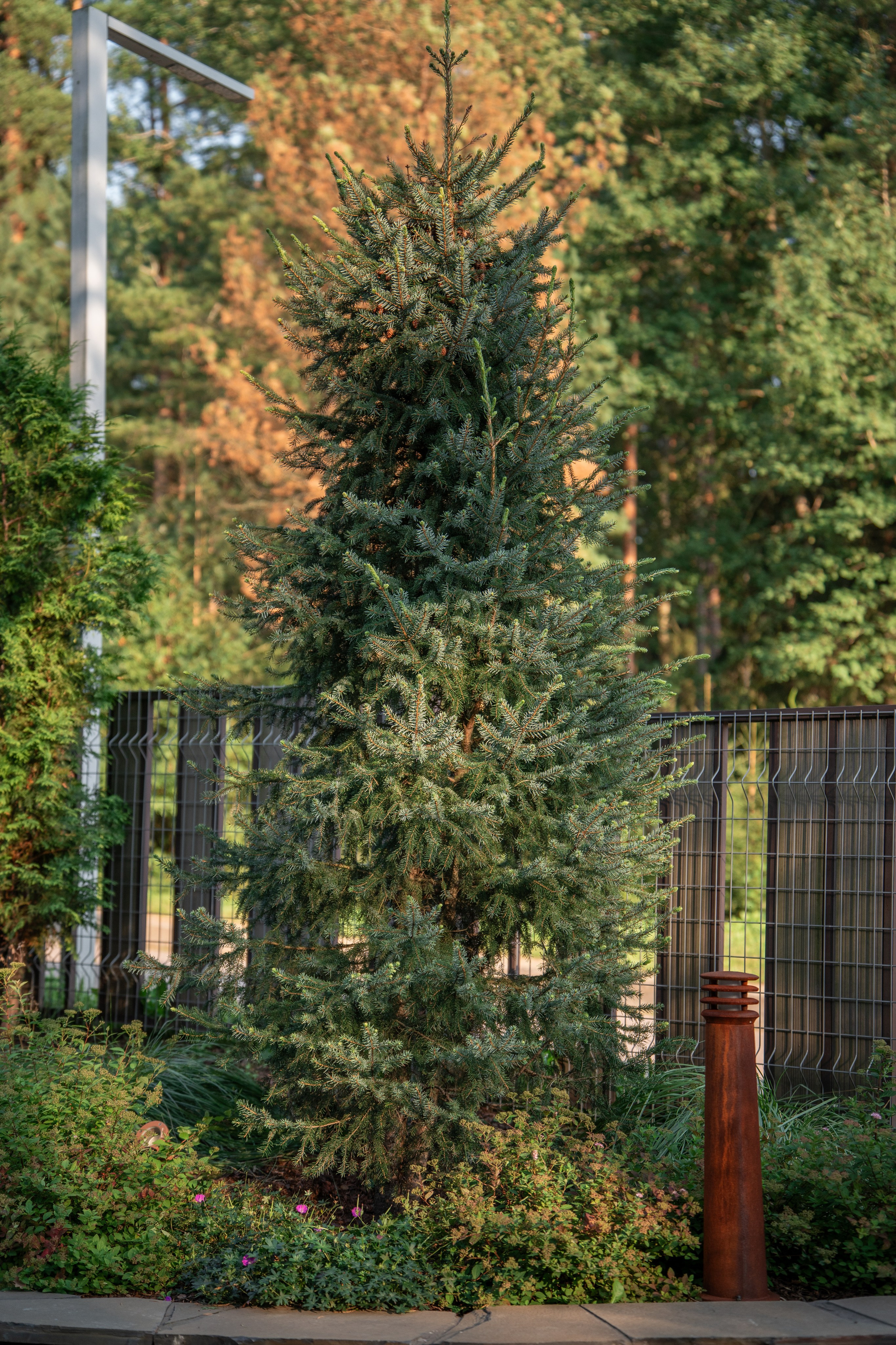 Интерьерная Съемка. Услуги фотографа СПб. Фотограф видеограф Игорь Рисар