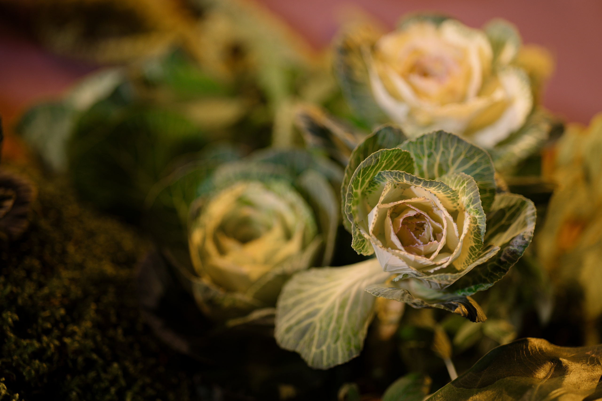 N&A. Свадебный фотограф Лиза Макатович Беларусь Минск