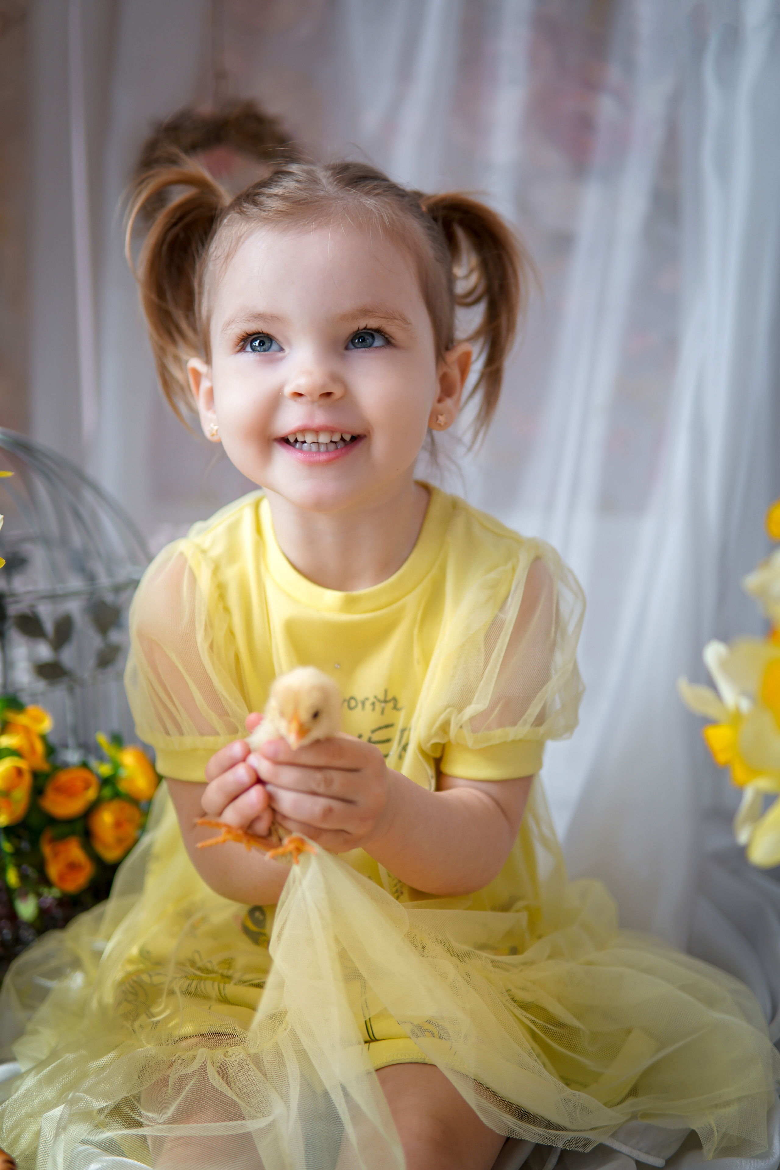 Цыплята. Фотограф в Краснодаре и Краснодарском крае Елена Быкова