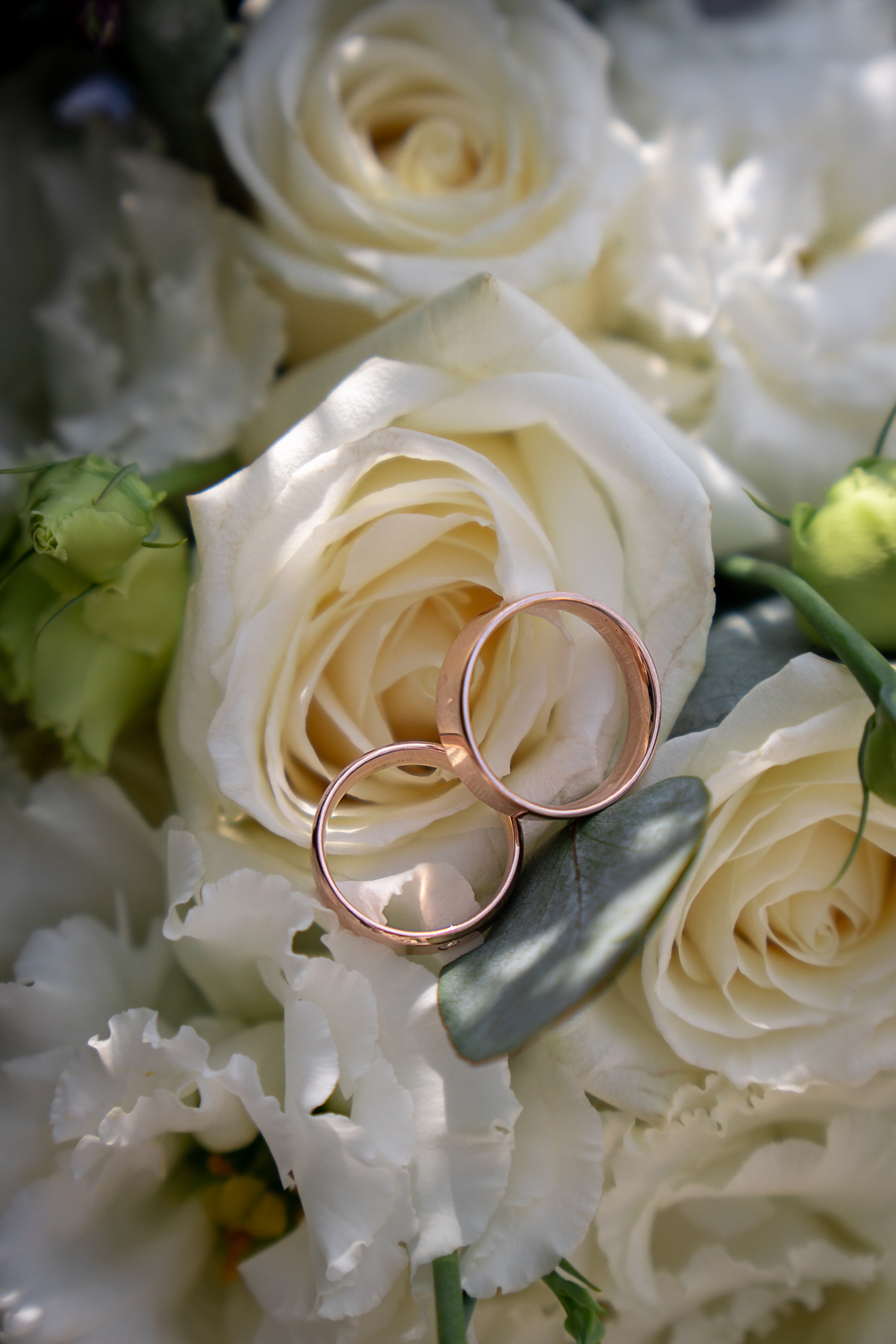 Ангелина и Игорь. Фотограф в Краснодаре и Краснодарском крае Елена Быкова