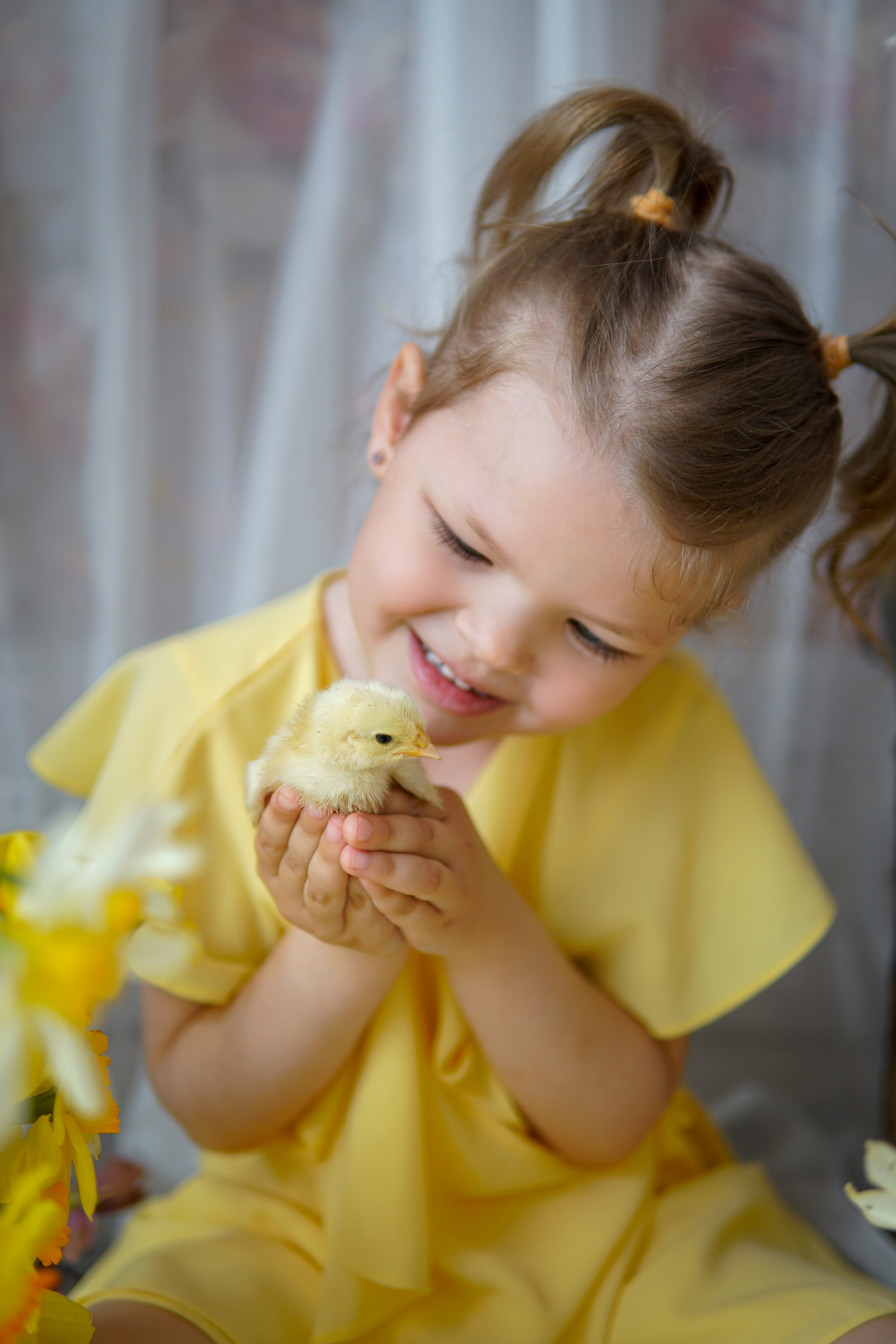 Цыплята. Фотограф в Краснодаре и Краснодарском крае Елена Быкова