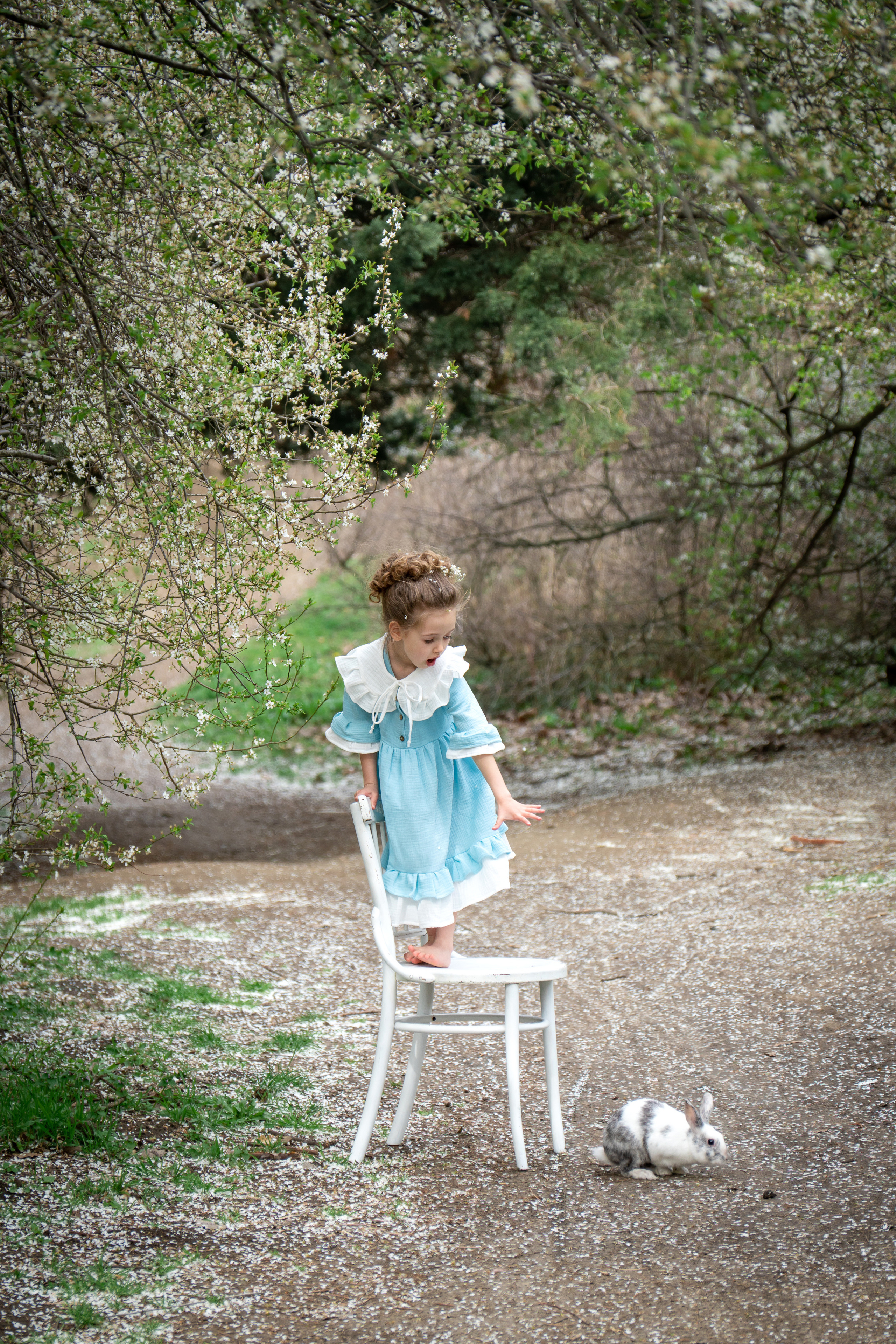 Кролик. Фотограф в Краснодаре и Краснодарском крае Елена Быкова