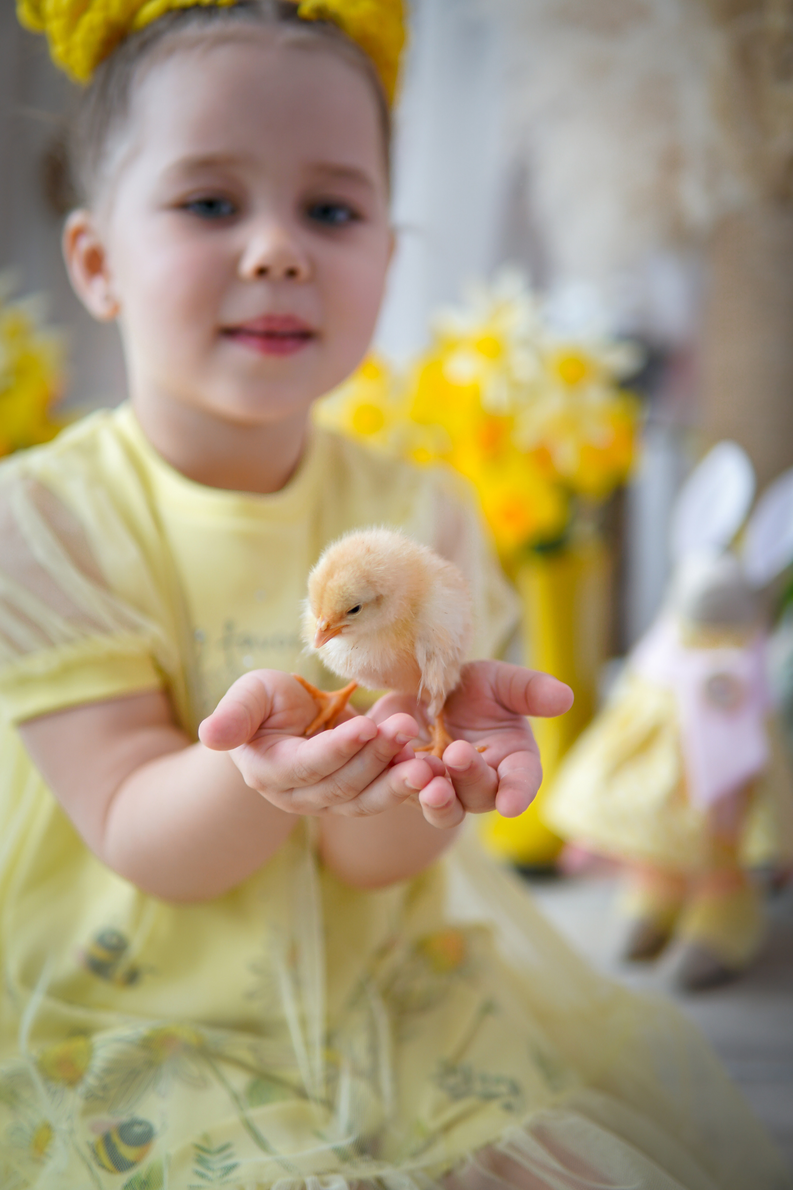 Цыплята. Фотограф в Краснодаре и Краснодарском крае Елена Быкова